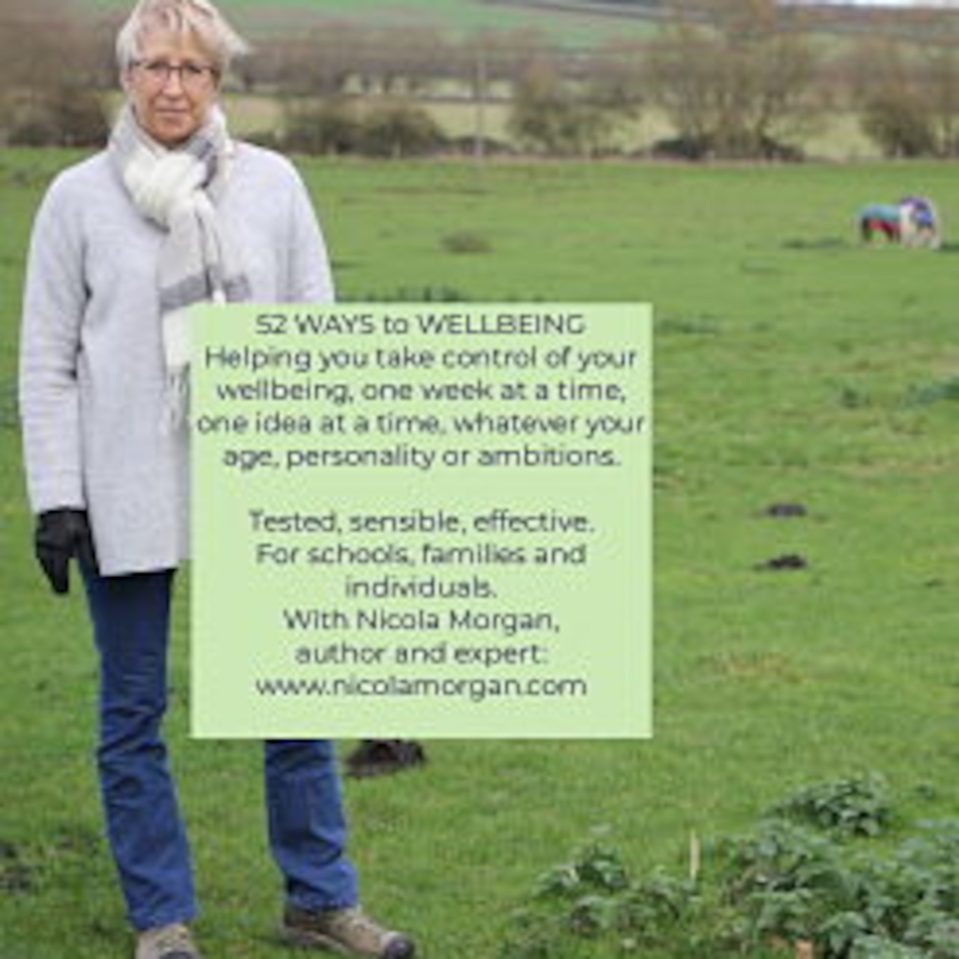 52 WAYS to WELLBEING