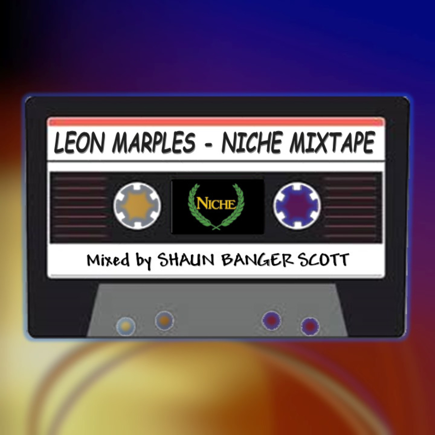 Episode 91: SBS Niche 30 Mixtape Vol 2 Leon Marples
