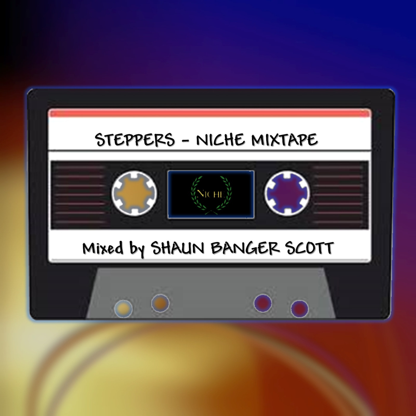 Episode 95: SBS Niche 30 Mixtape Vol 3 The Steppers
