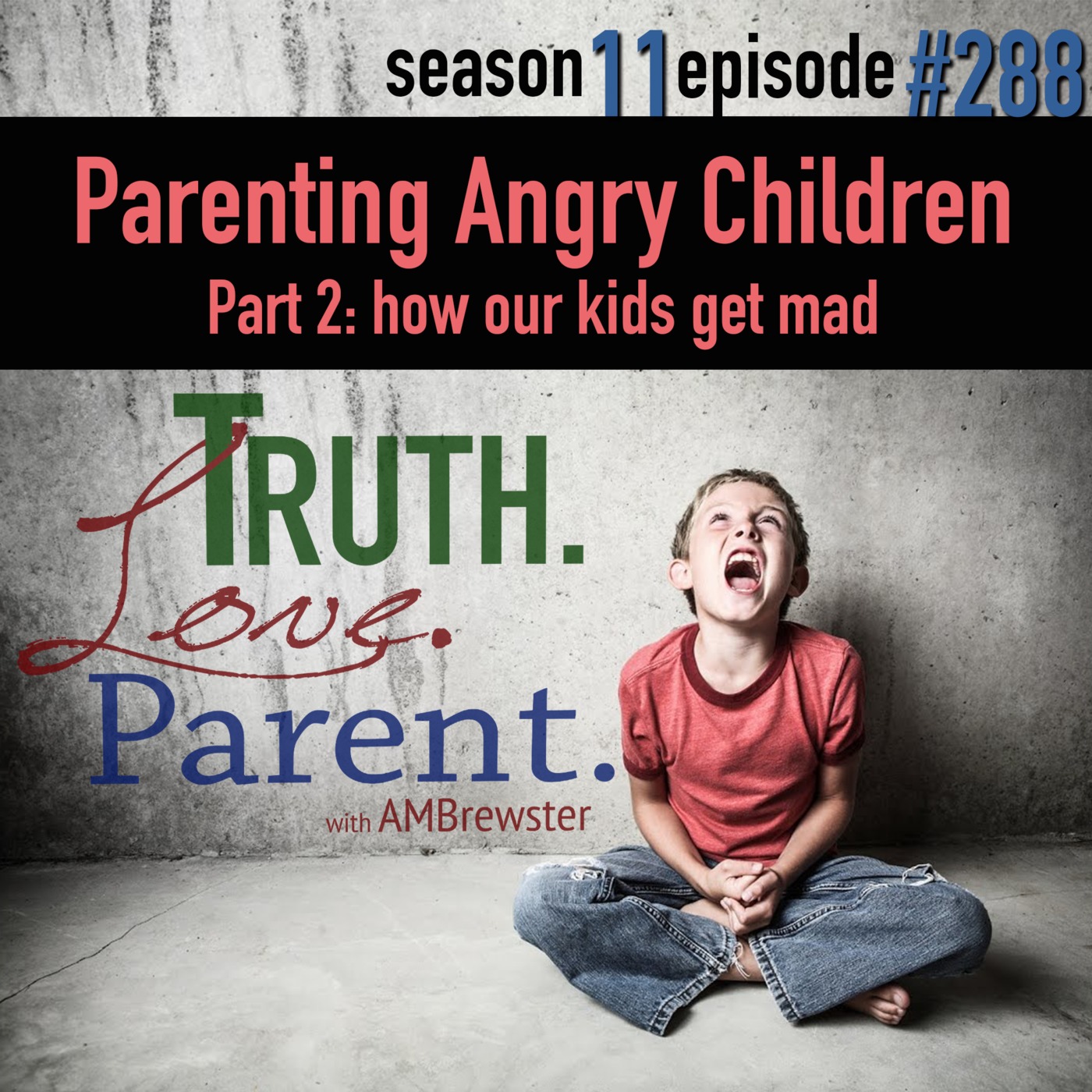 TLP 288: Parenting Angry Children, Part 2 | how our kids get mad