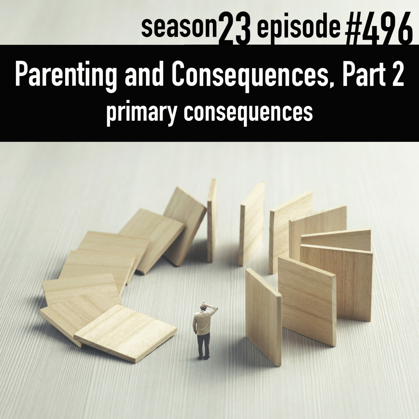 Episode 496: TLP 496: Parenting and Consequences, Part 2 | primary consequences