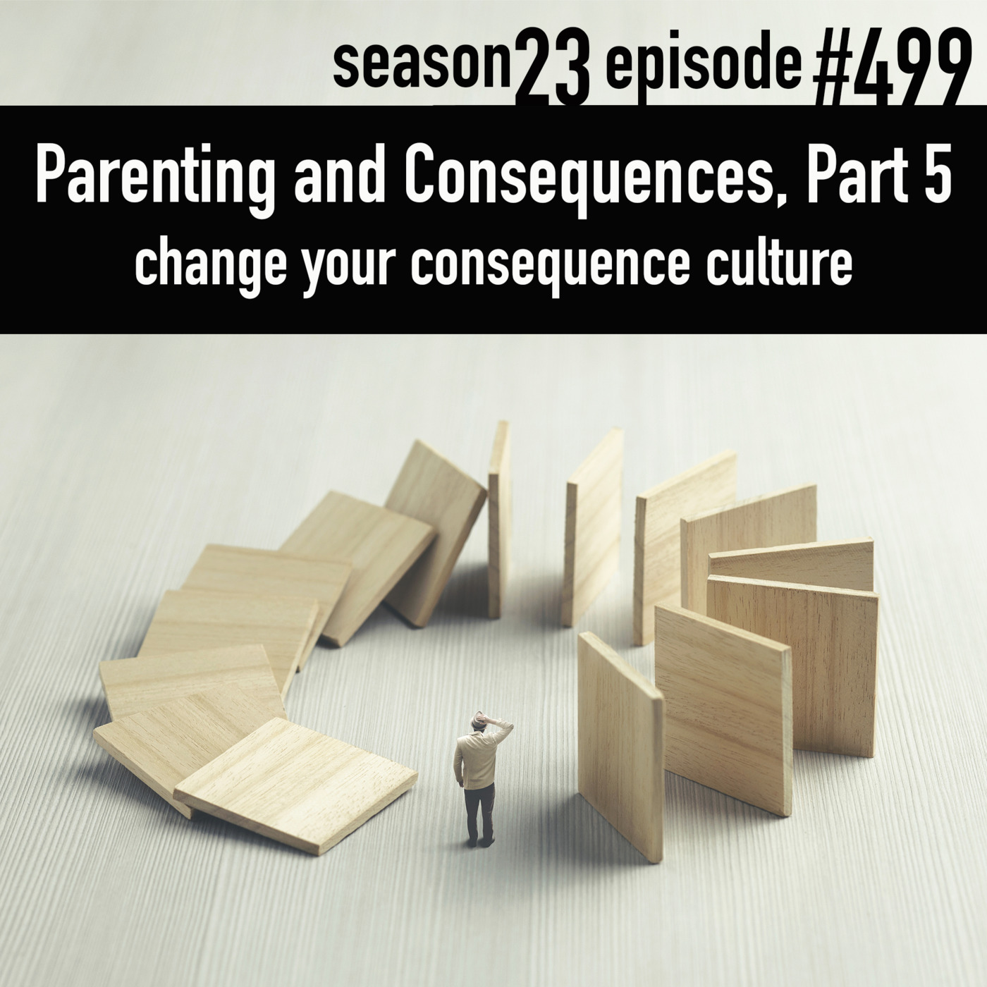 Episode 499: TLP 499: Parenting and Consequences, Part 5 | change your consequence culture