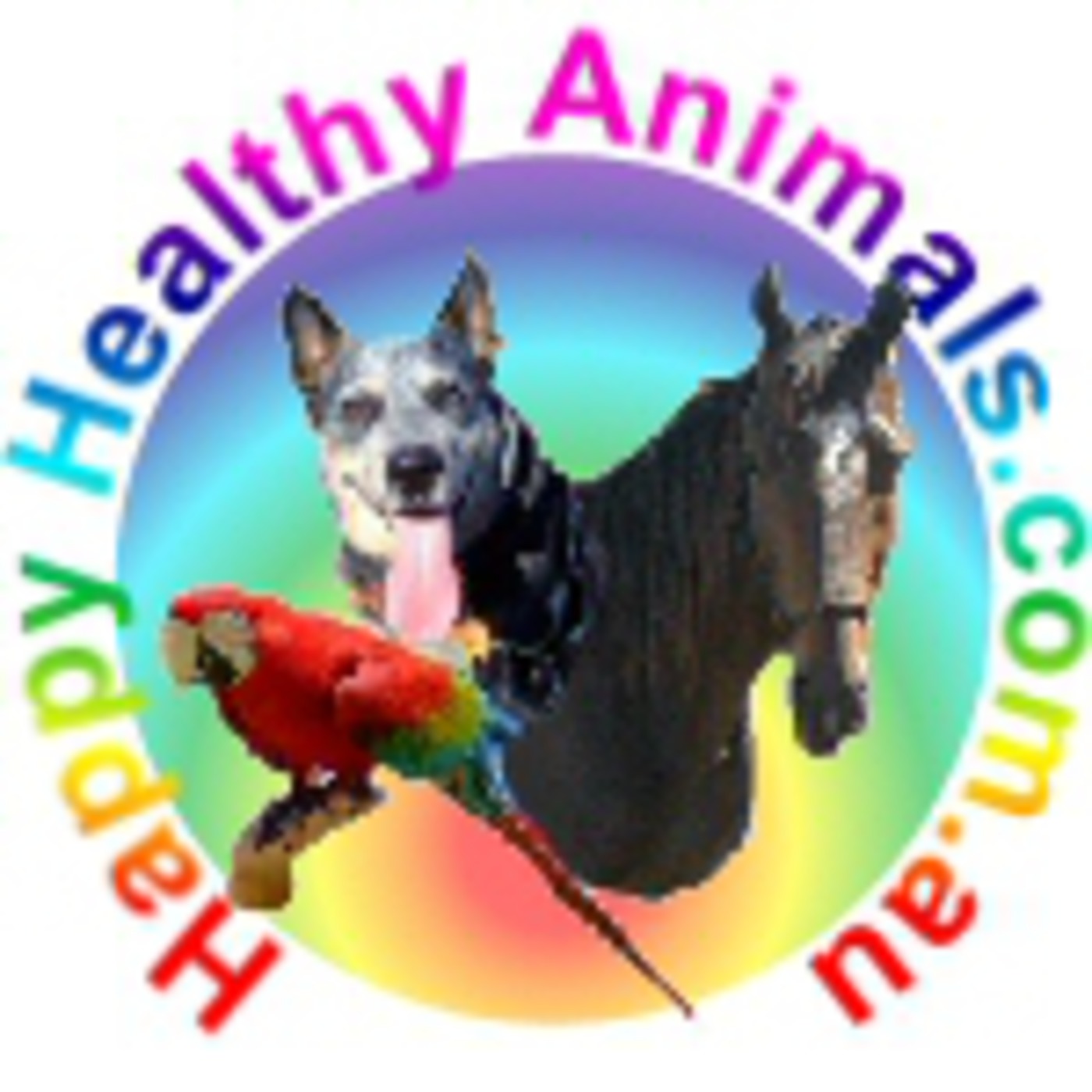 Happy Healthy Animals podcast artwork