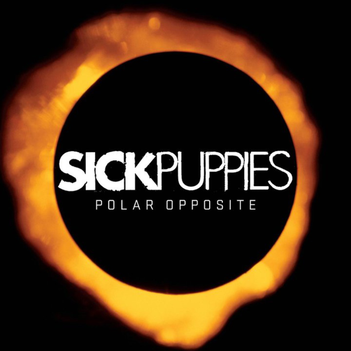 Episode 7- Interview with Sick Puppies