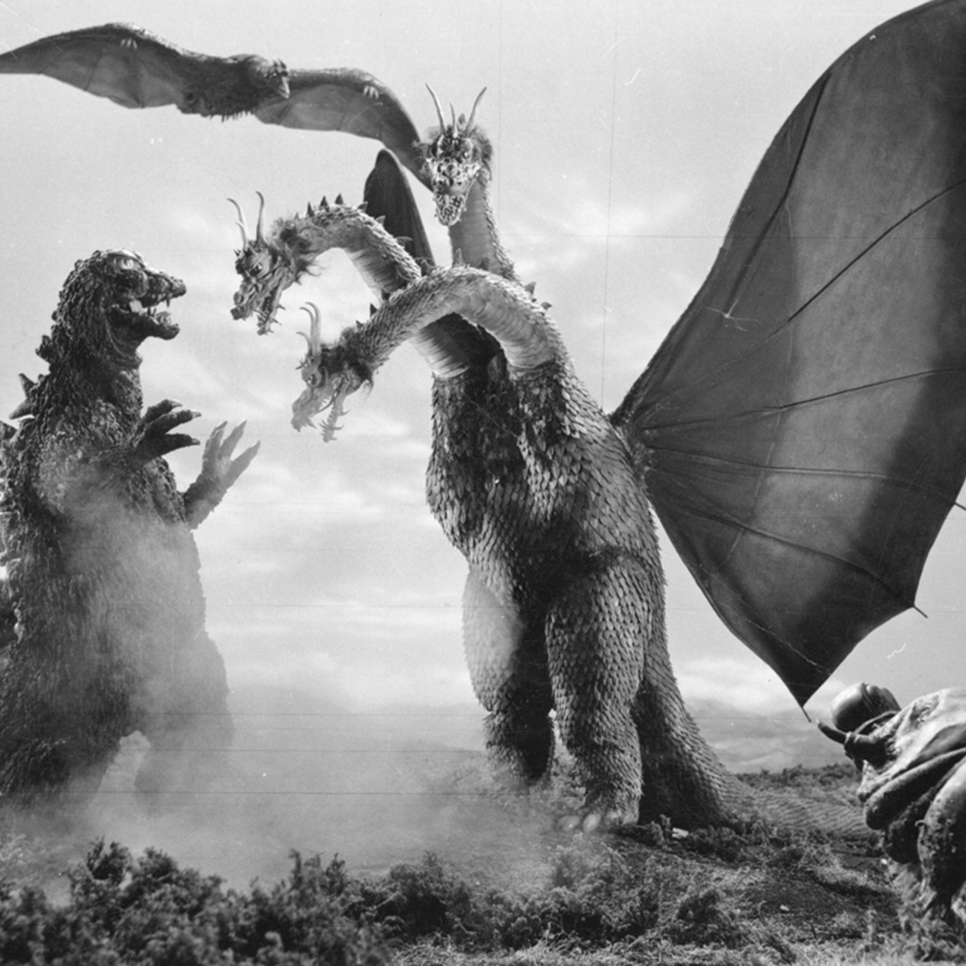 5. BOW DOWN TO YOUR LIZARD OVERLORDS!!!!