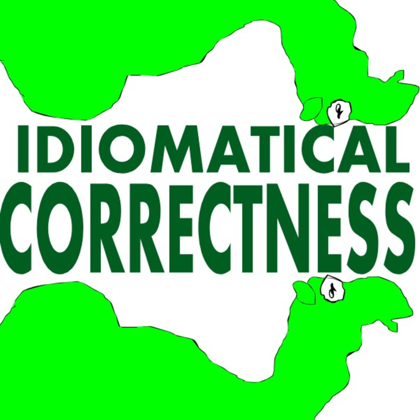 Idiomatical Correctness