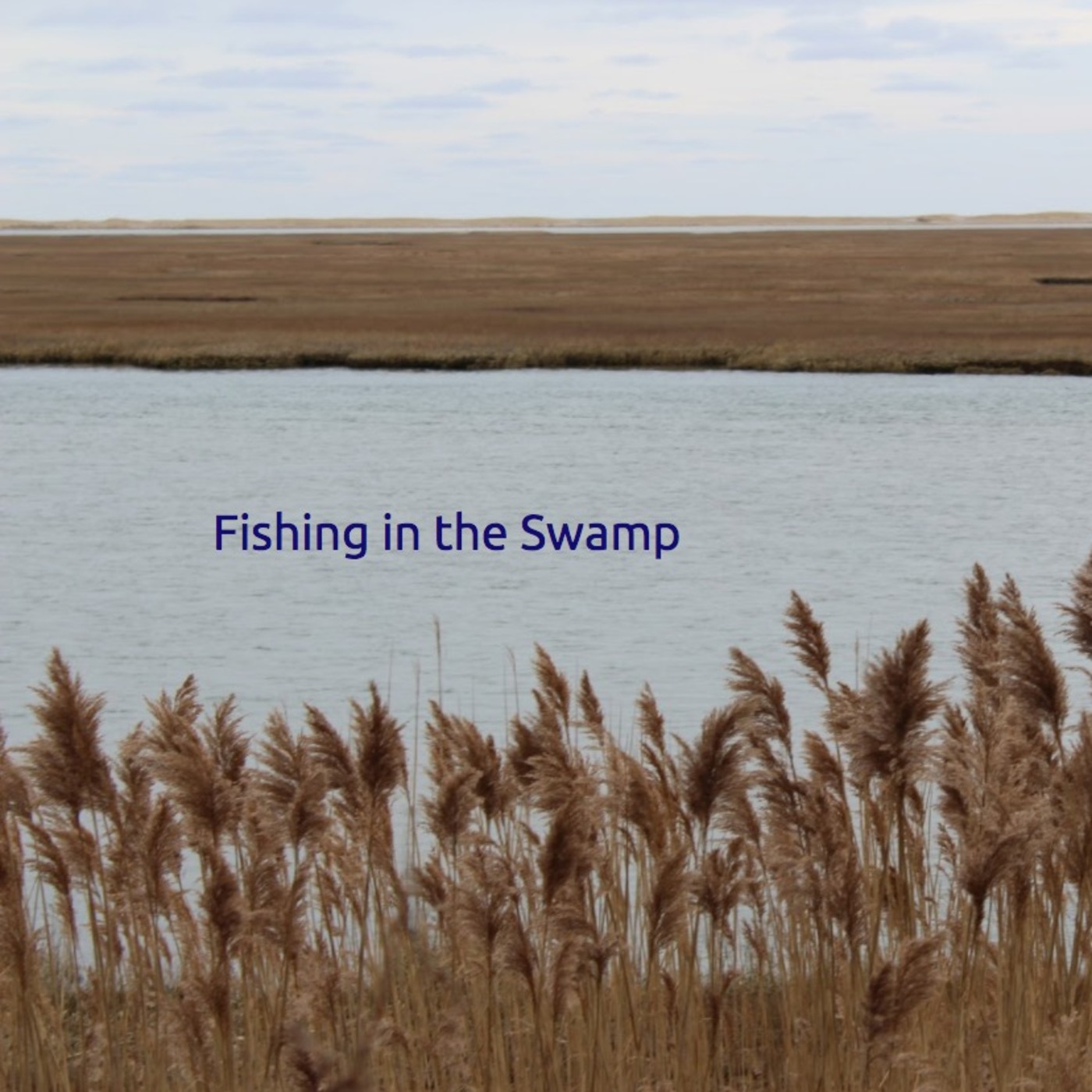 Fishing in the Swamp