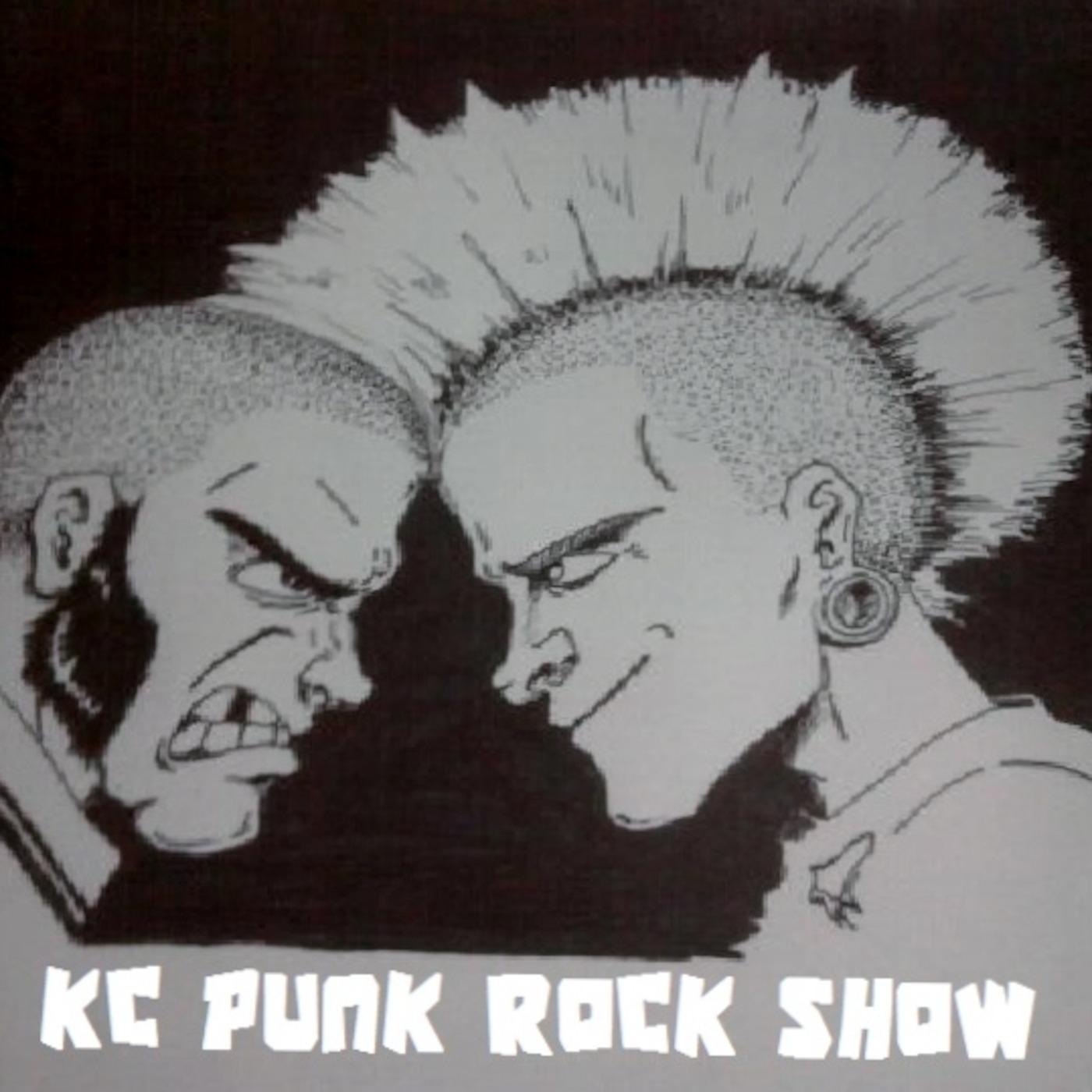 KC PUNK ROCK SHOW