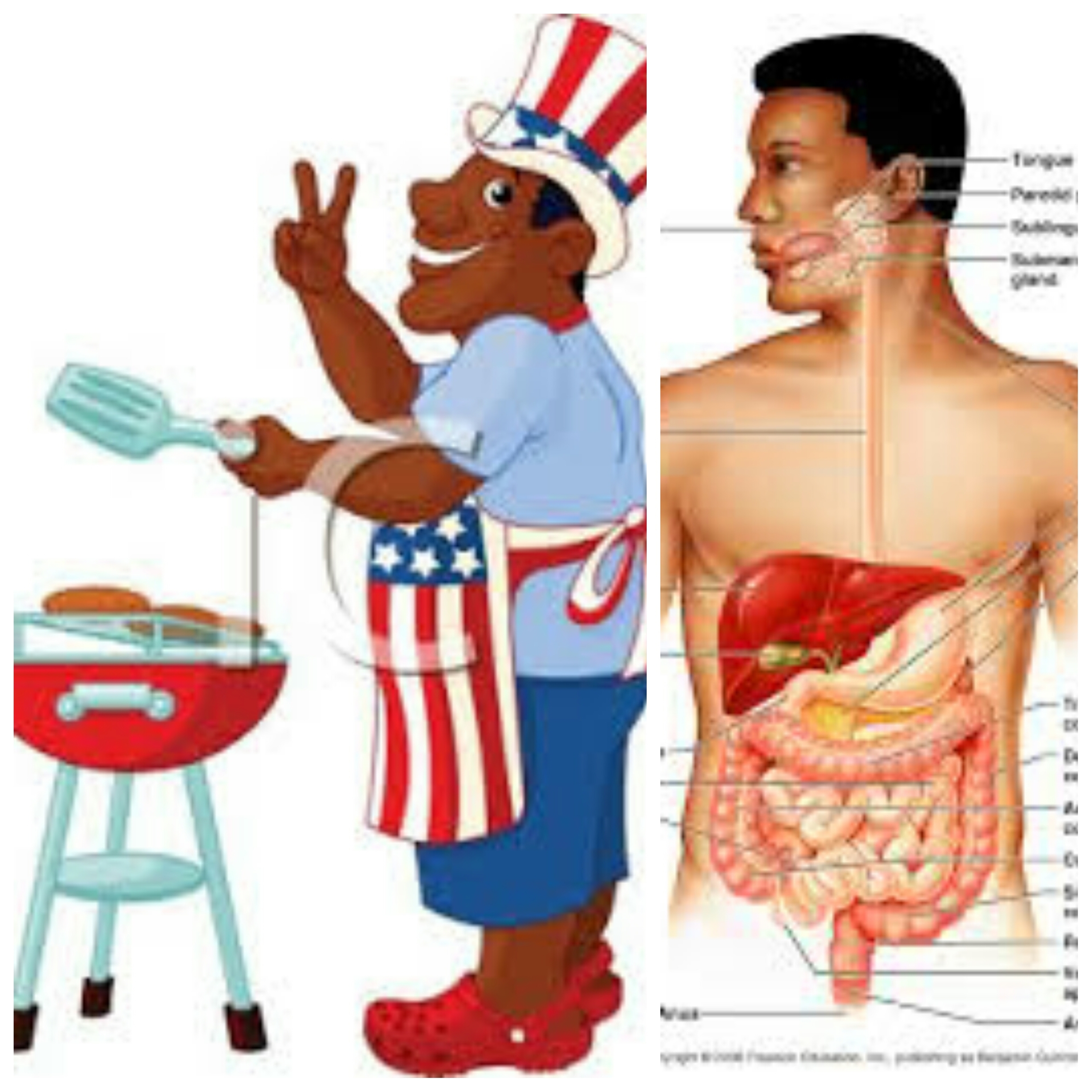 The 4th of July and Your Digestive System On THe Cedric Bailey Radio Show