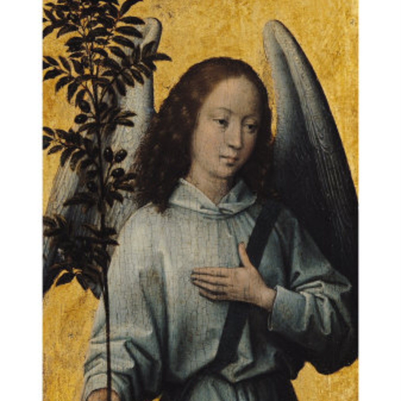 Shefa  Podcast      پادکست ِ شفا