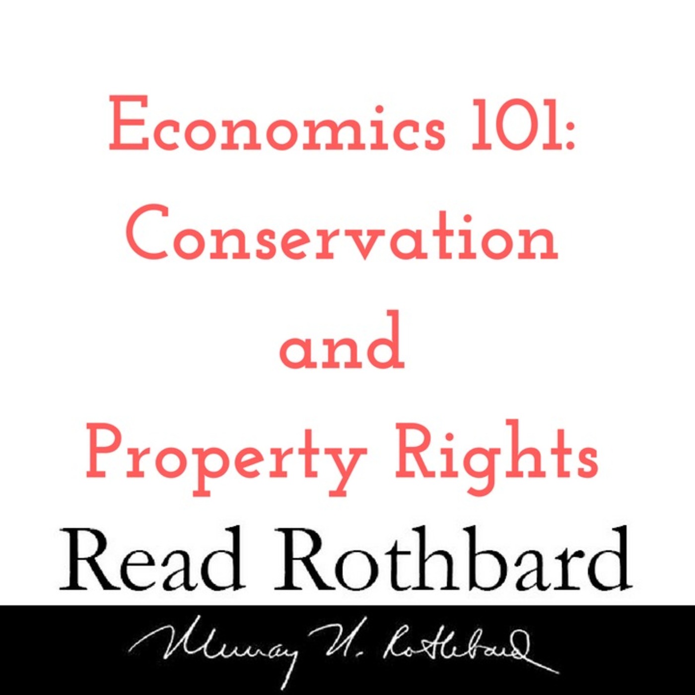 Enemy of the State: Murray Rothbard