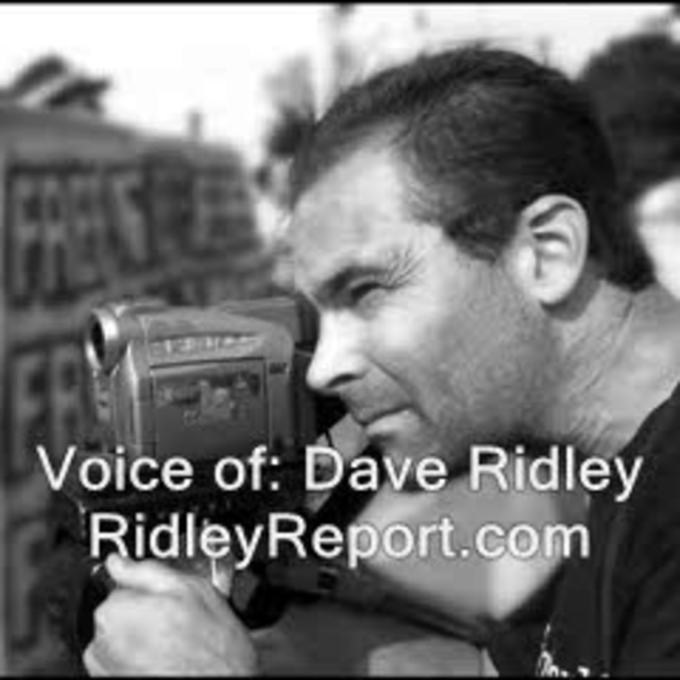 RidleyReport\'s \