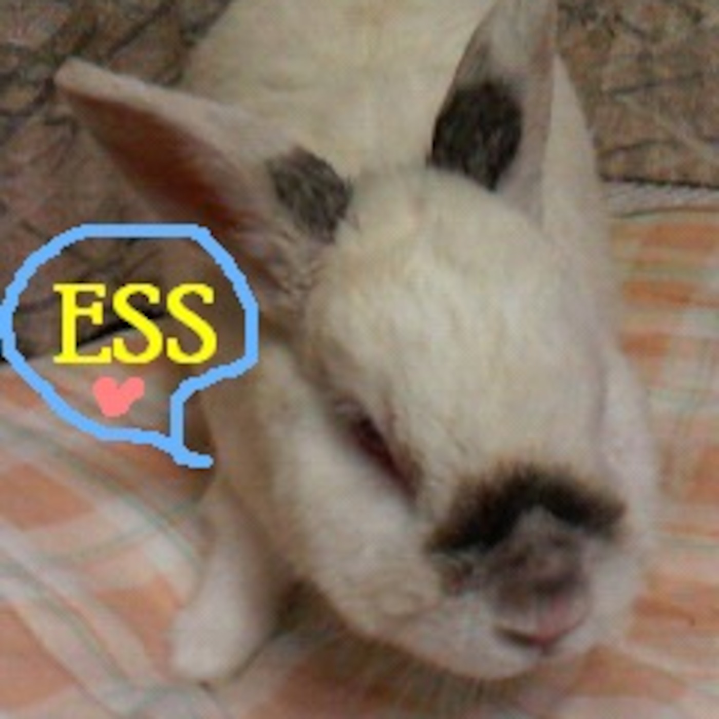 ESS★show!! podcast artwork