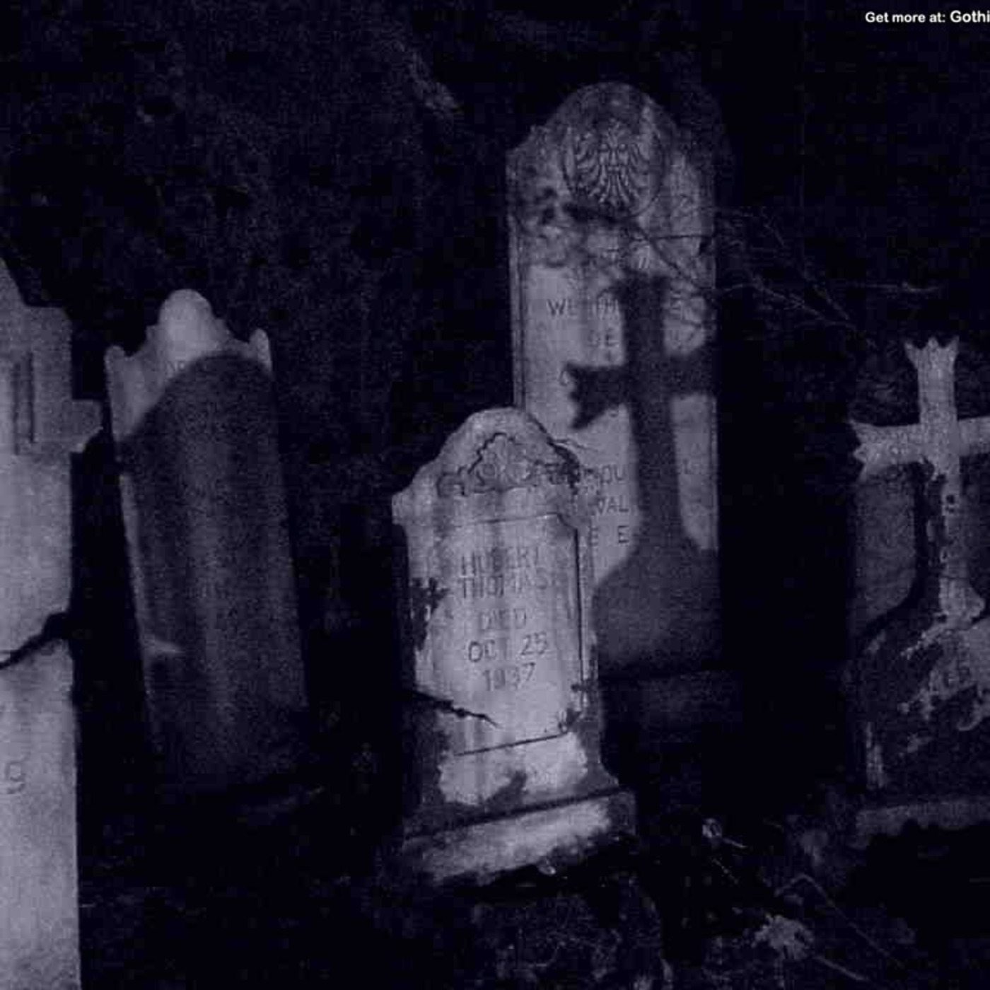 The Pit of Ultimate Dark Shadows podcast