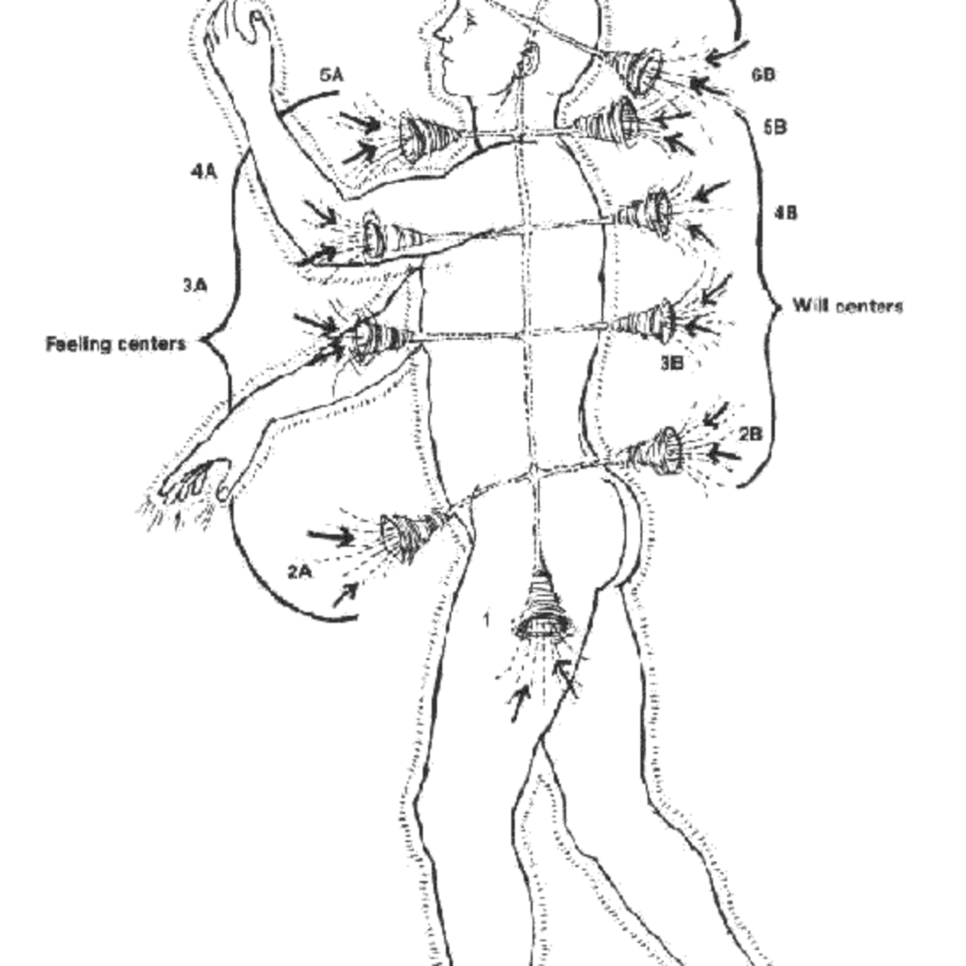 The Chakra System