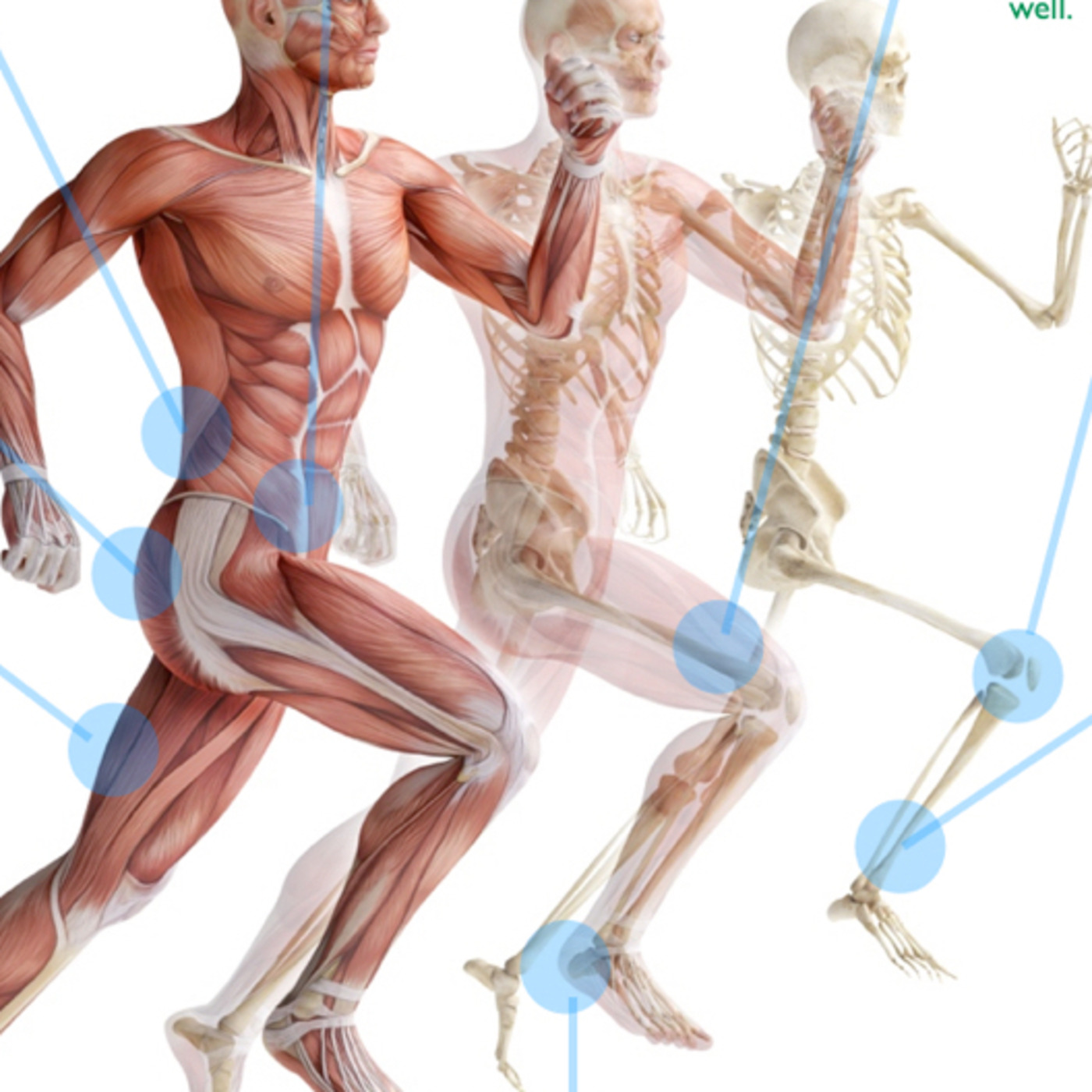 Episode 101: Ep101 - Running Injuries 101