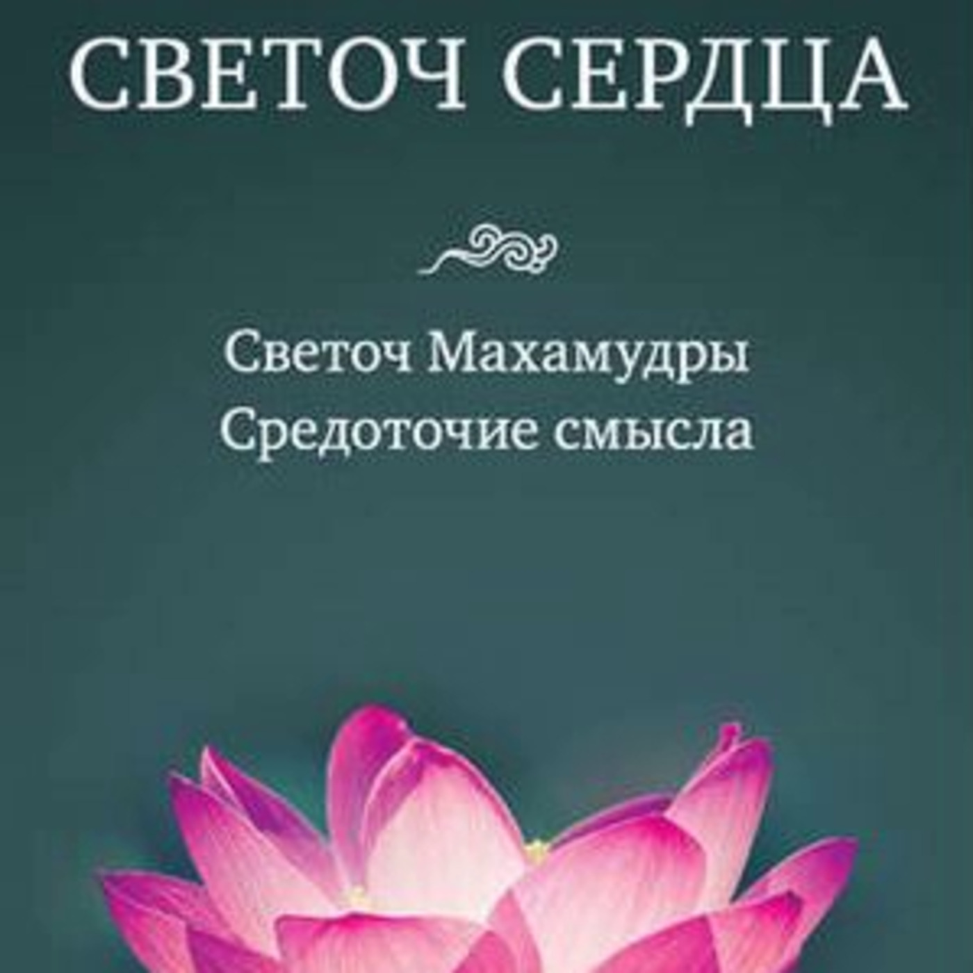 Целе Нацог Рангдрёл. Сосредоточение смысла. Вопрос к самому себе.