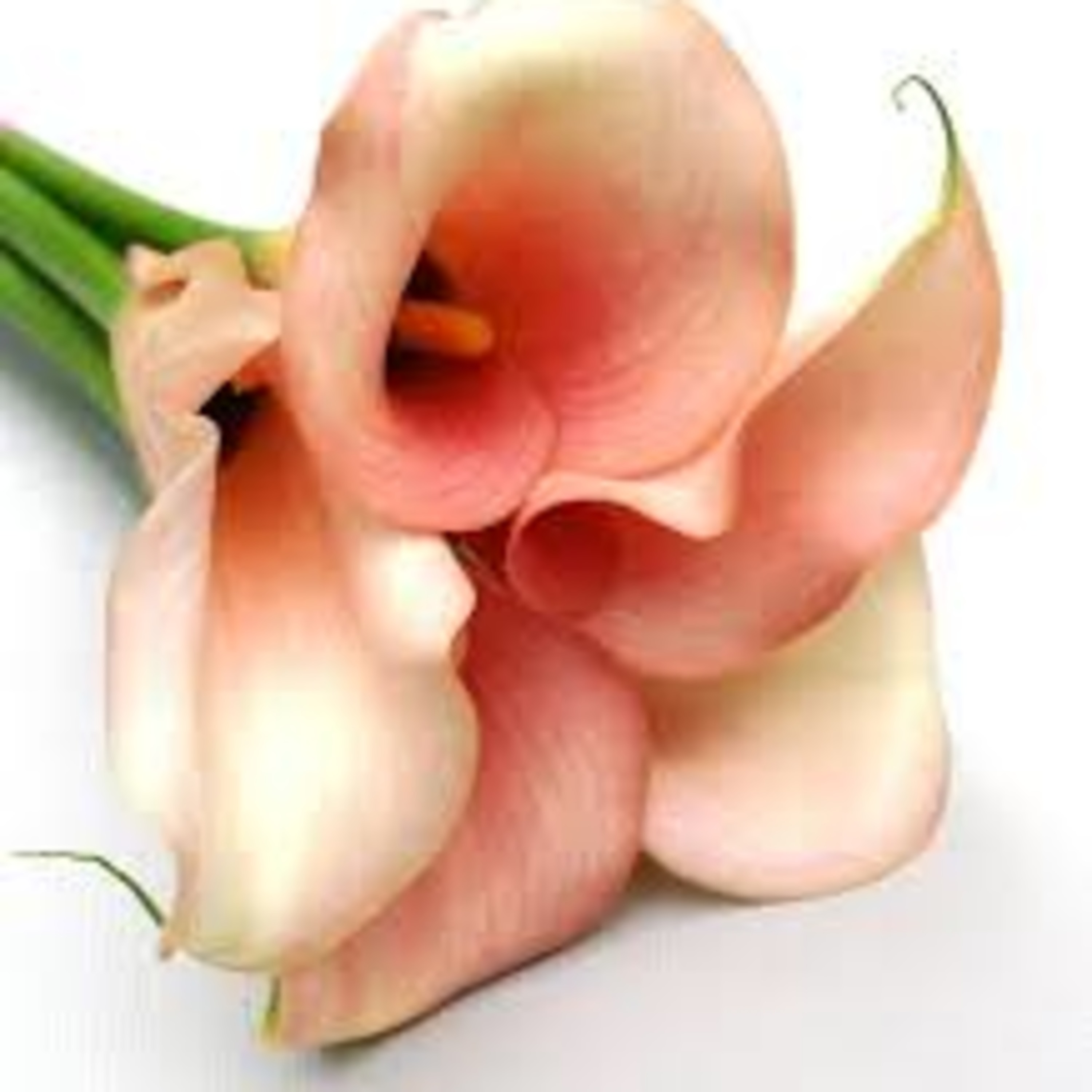 LeKettra Bennett's Podcast