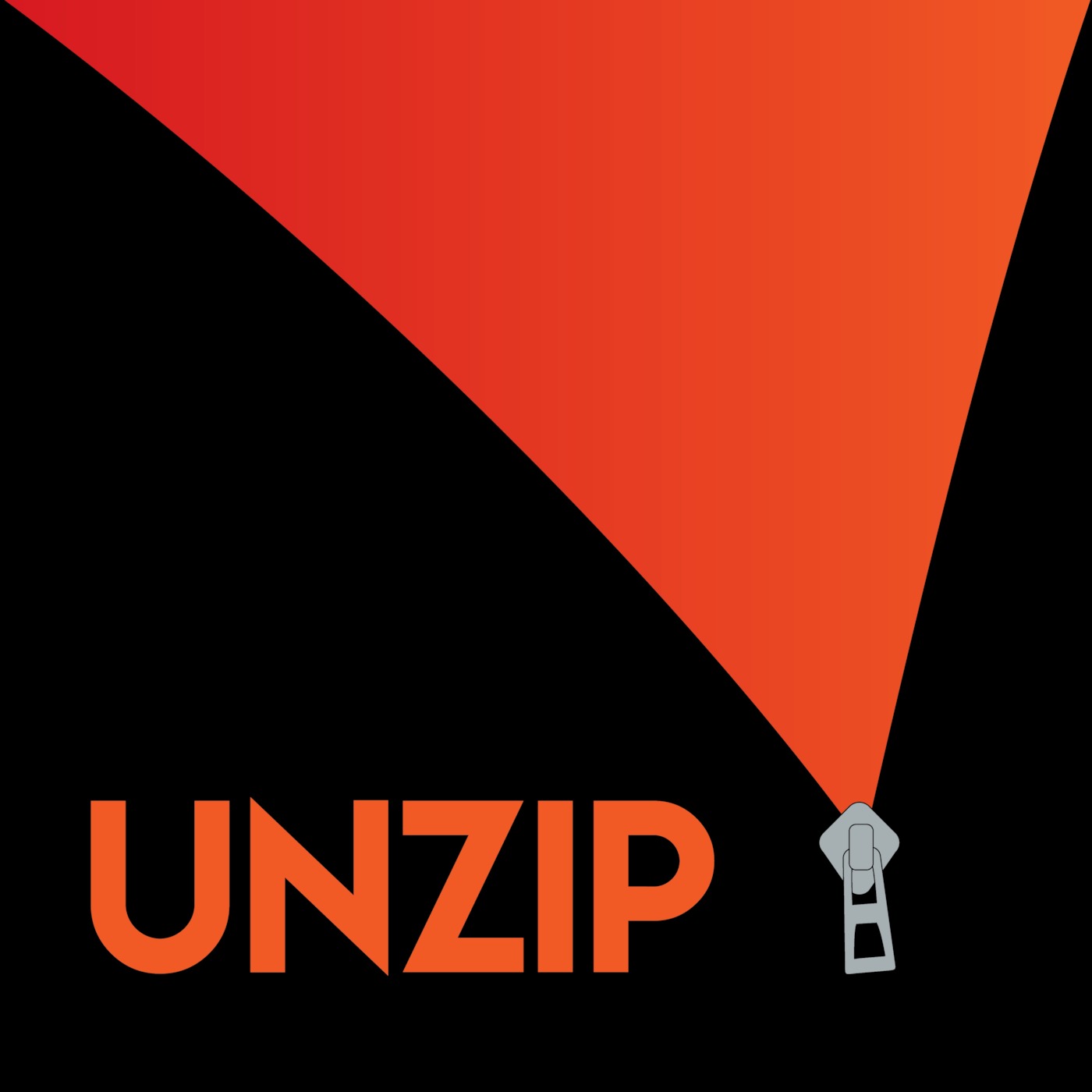 E00 - Introducing UNZIP Podcast