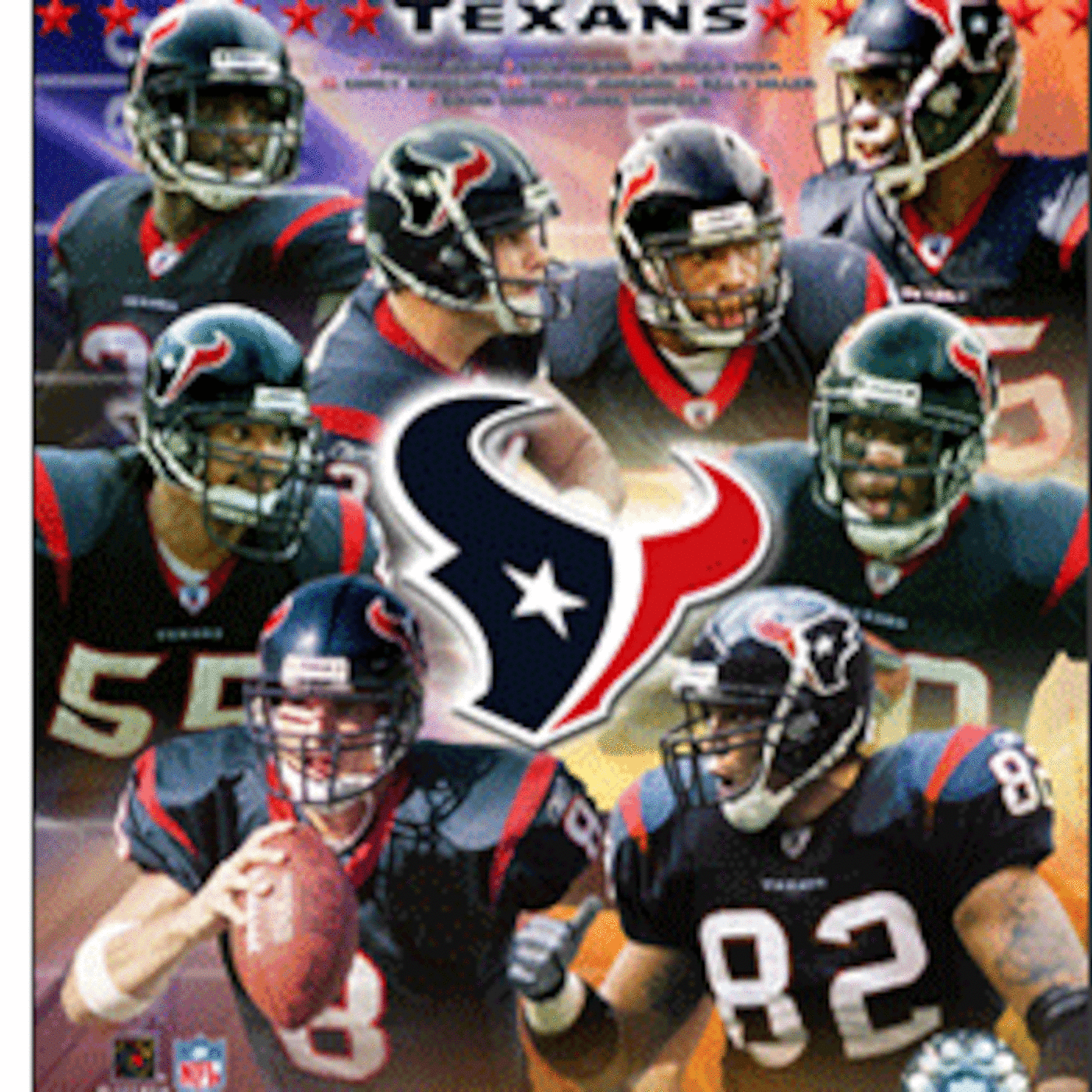 The Riding The Bench Show "Episode 16 part 5" Ace out of Houston discusses The Texans 2010 Season!!! episode artwork