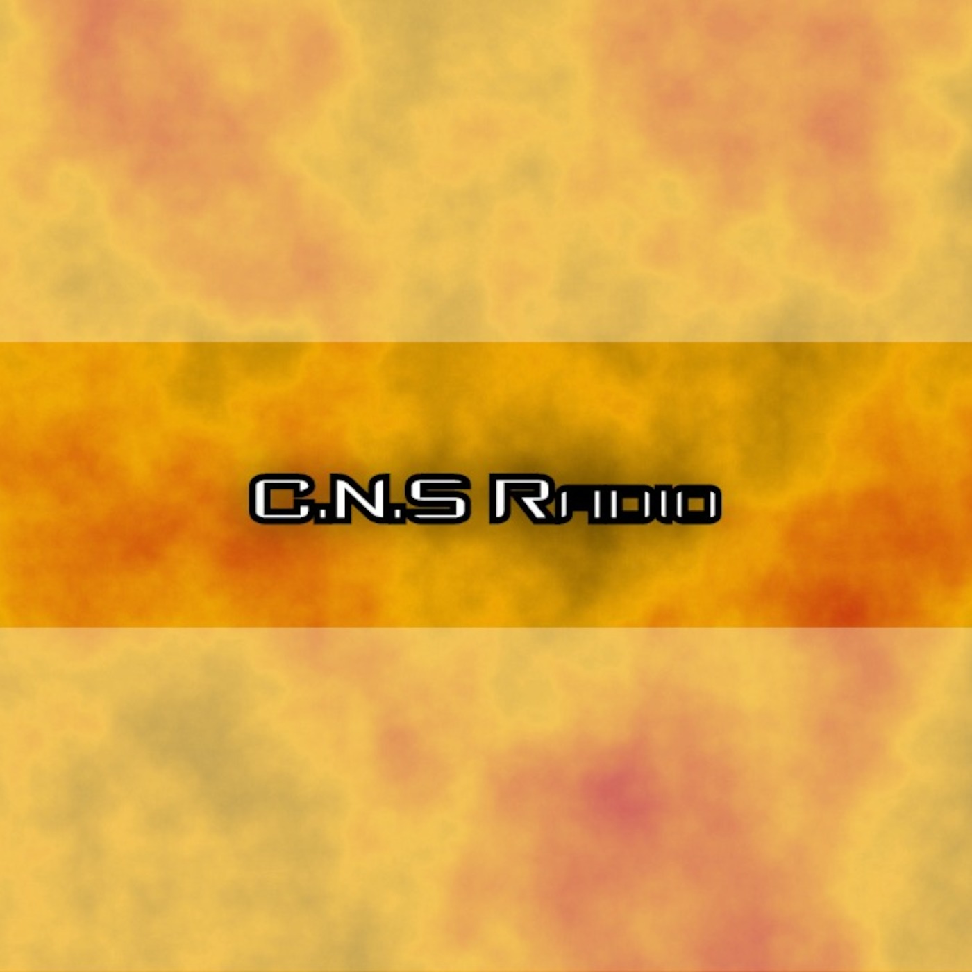 C.N.S Radio cover