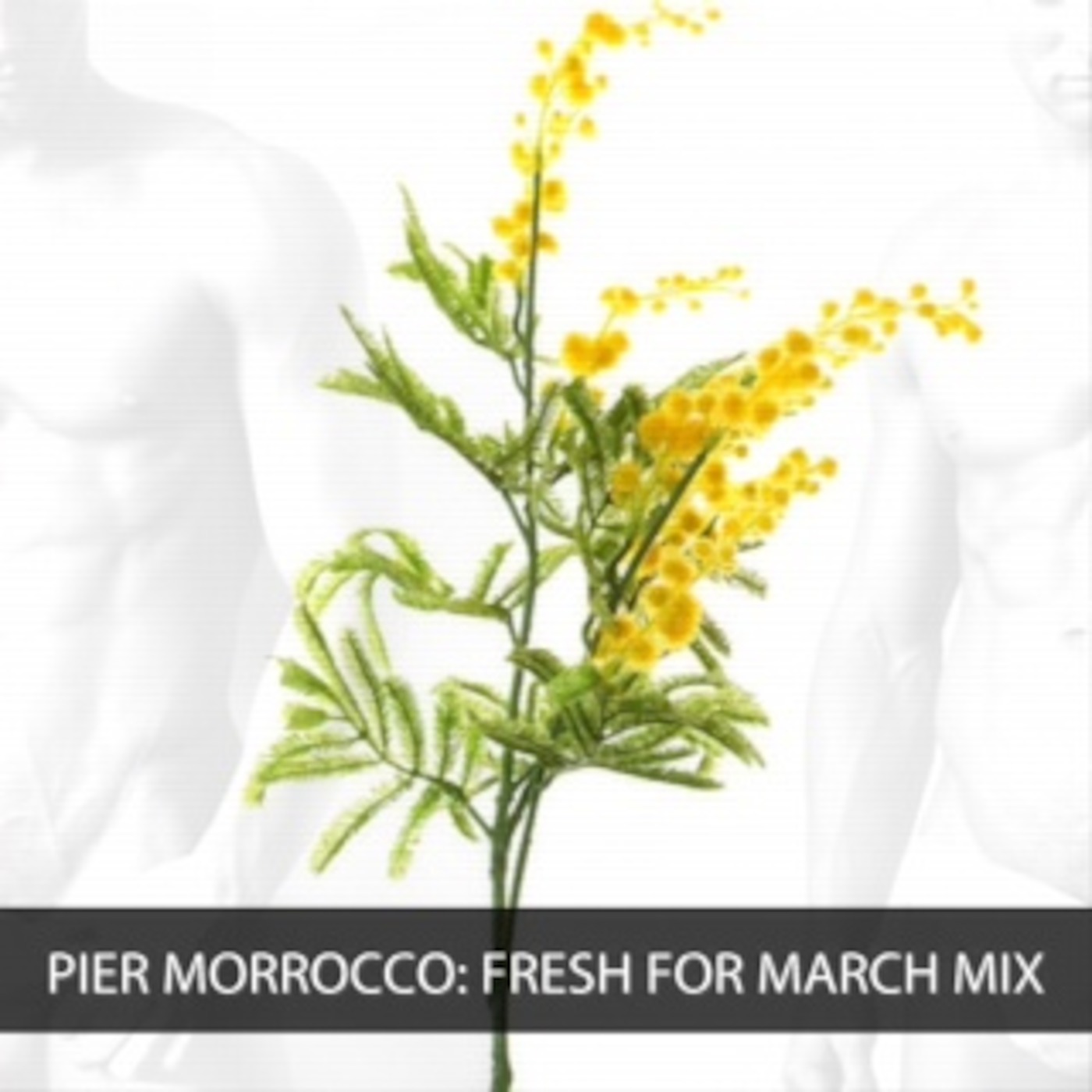 Pier Morrocco\'s Podcast