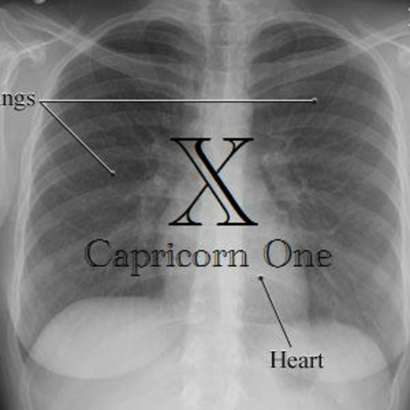 Capricorn One