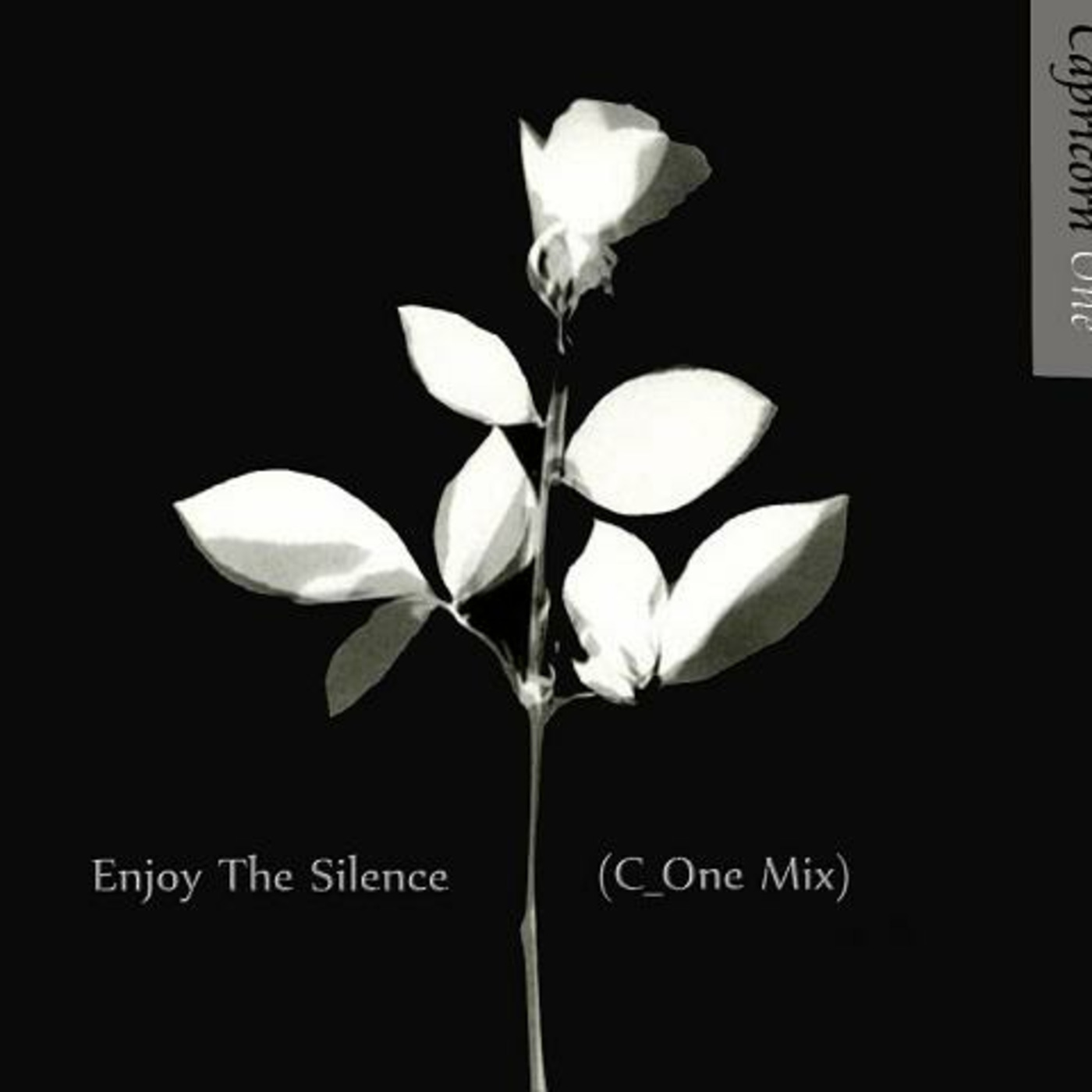 Enjoy The Silence