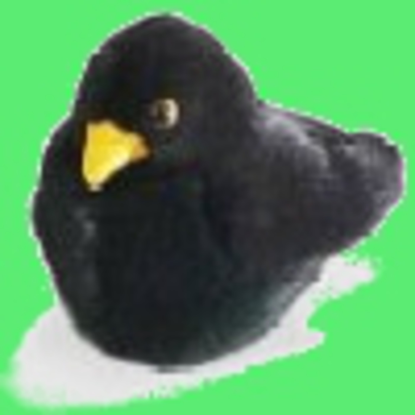 Episode 3 - How I "Got Into" Birdwatching...