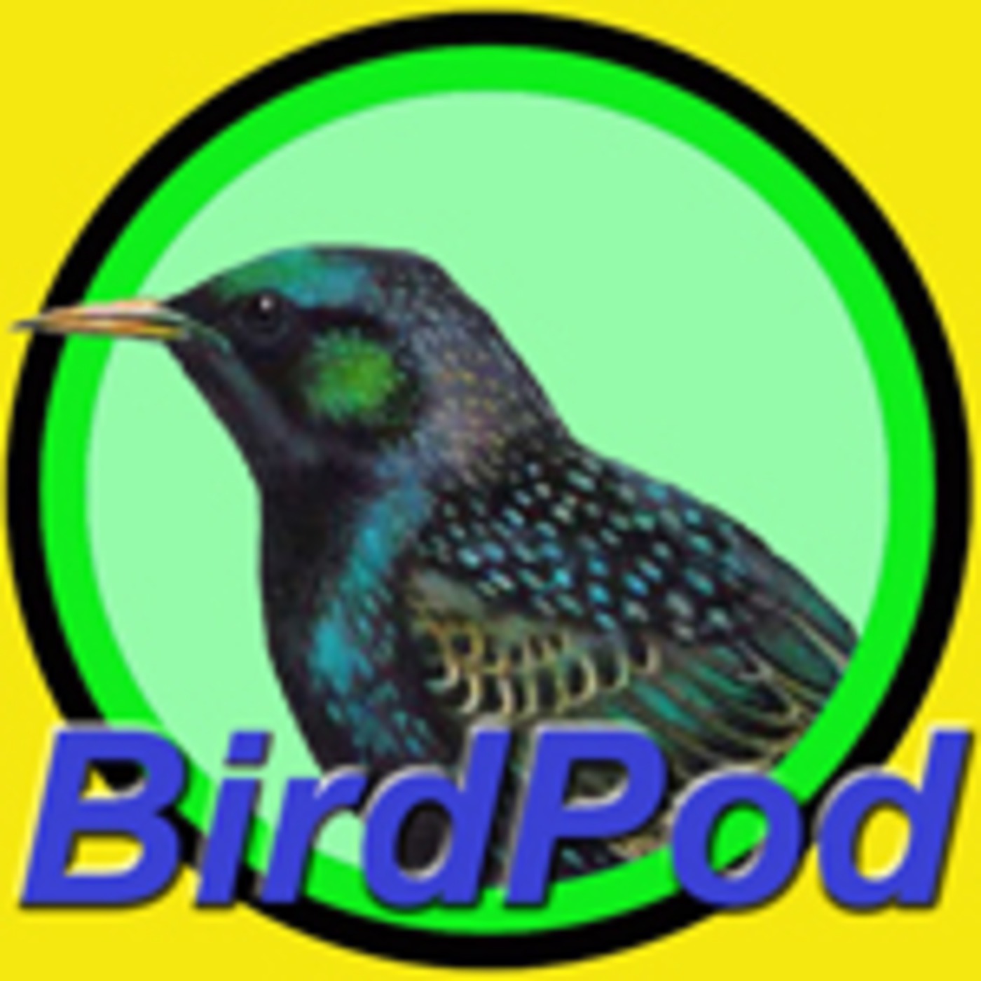 Birdpod Weekly 17th May, 2009 - 