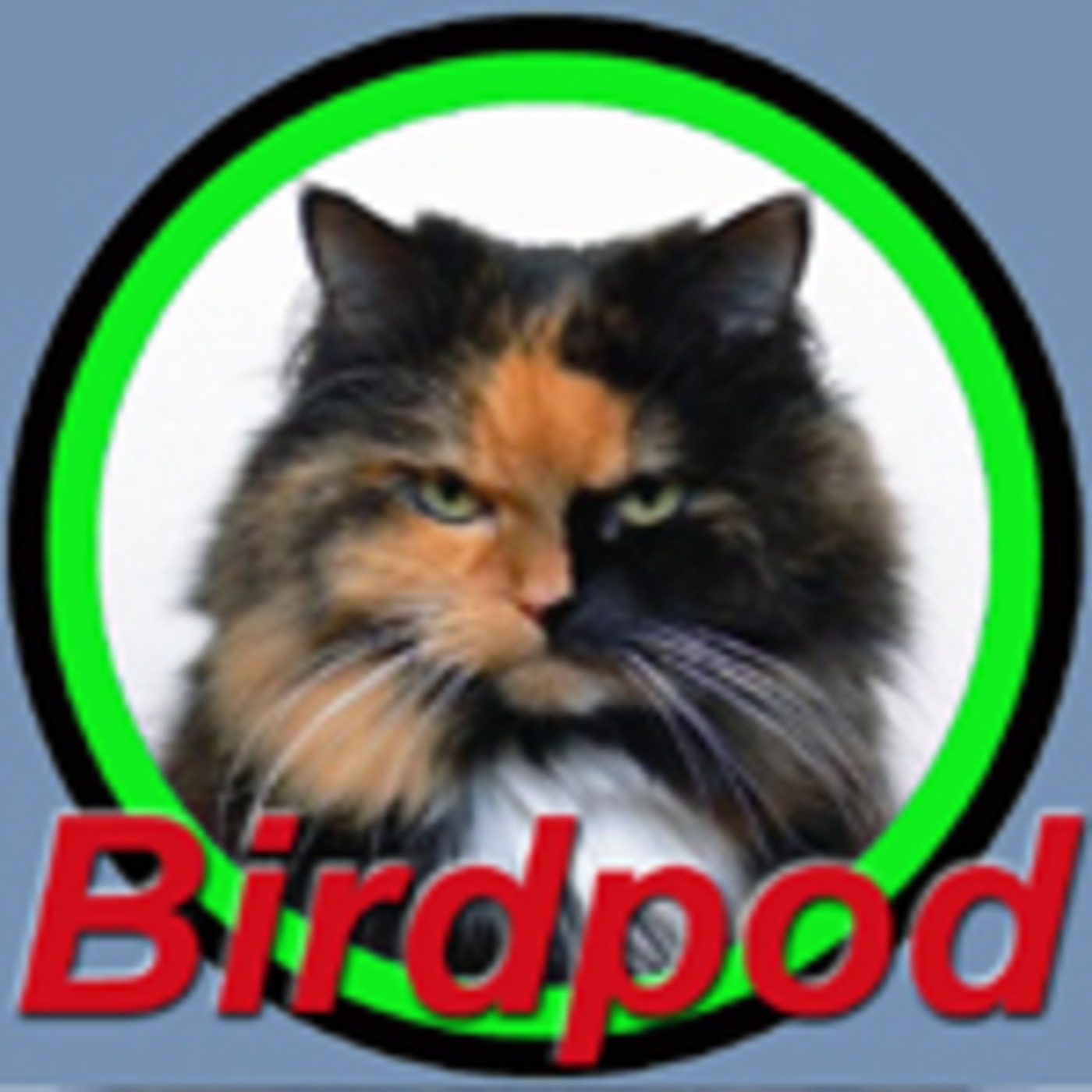 Birdpod Weekly 24th May, 2009 - "A Cat Among The Pigeons"