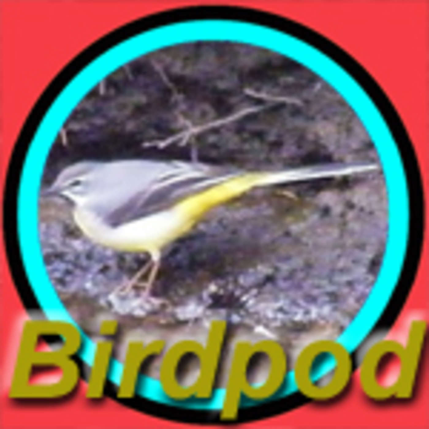 14th June, 2009 - "The One With The Waggly Tail!"