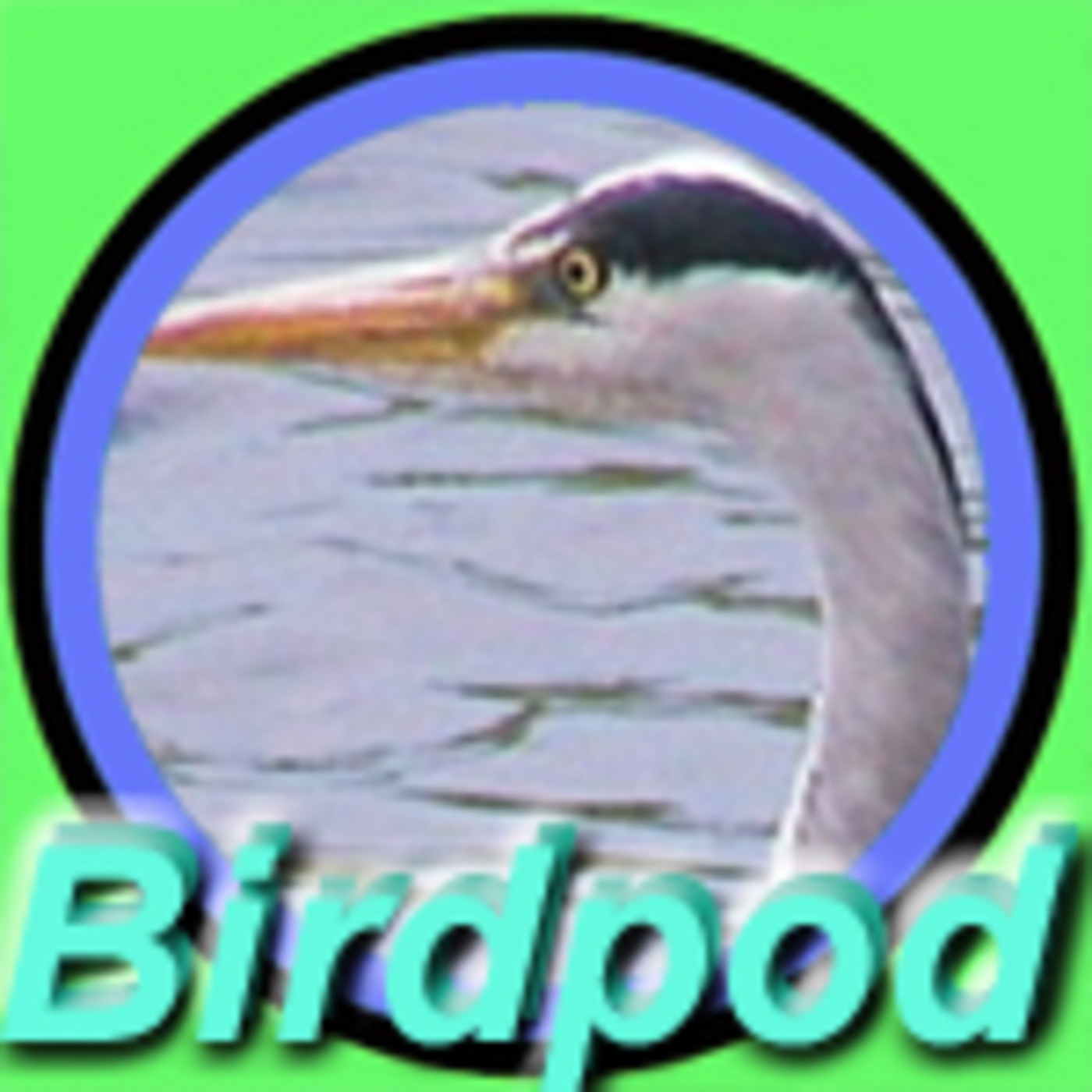 21st June, 2009 - "Oh look - A Heron!"