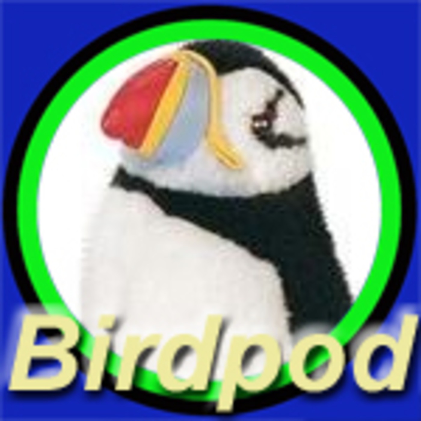 5th July, 2009 - "Live from South Stack, Anglesey"