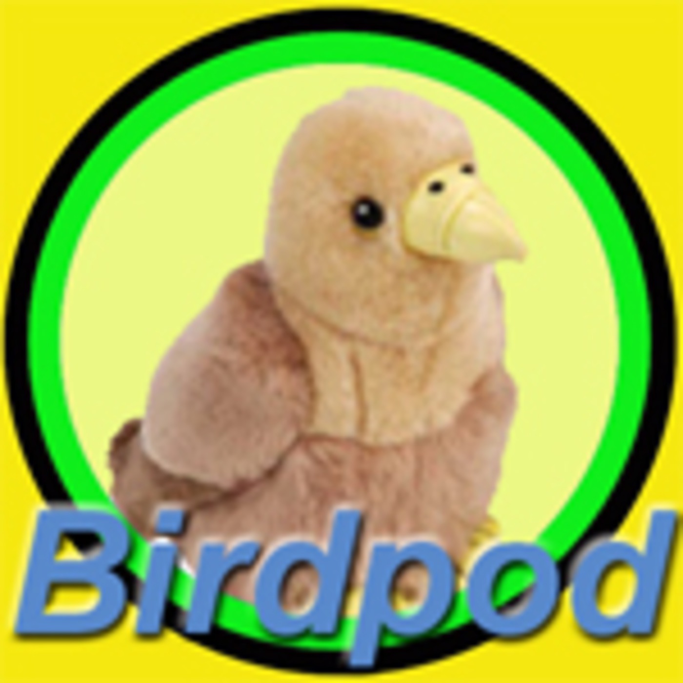 26th July, 2009 - "White-tailed Eagle"