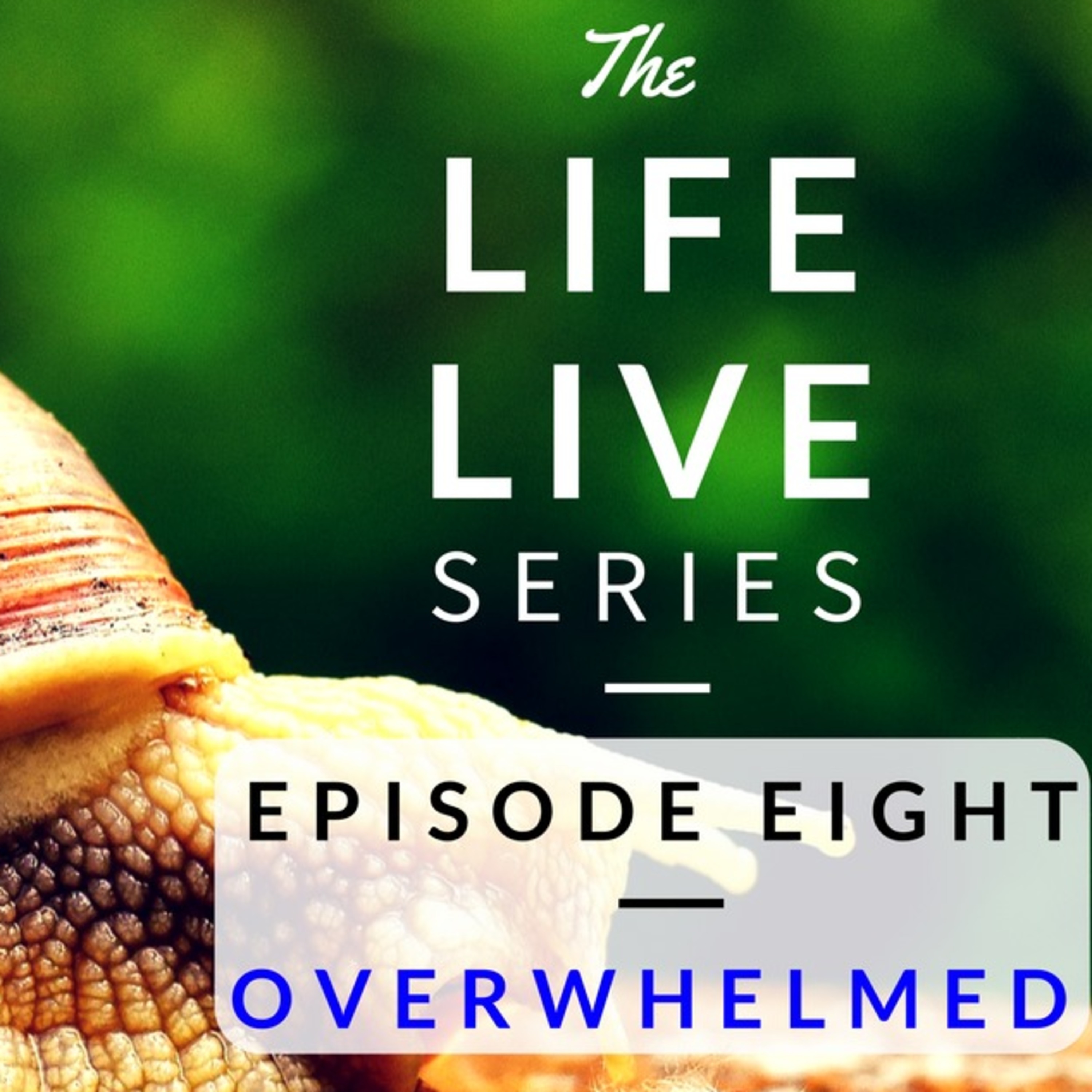 Life Live Episode 8 - Overwhelmed | Suicide, Depression and Life Help episode artwork