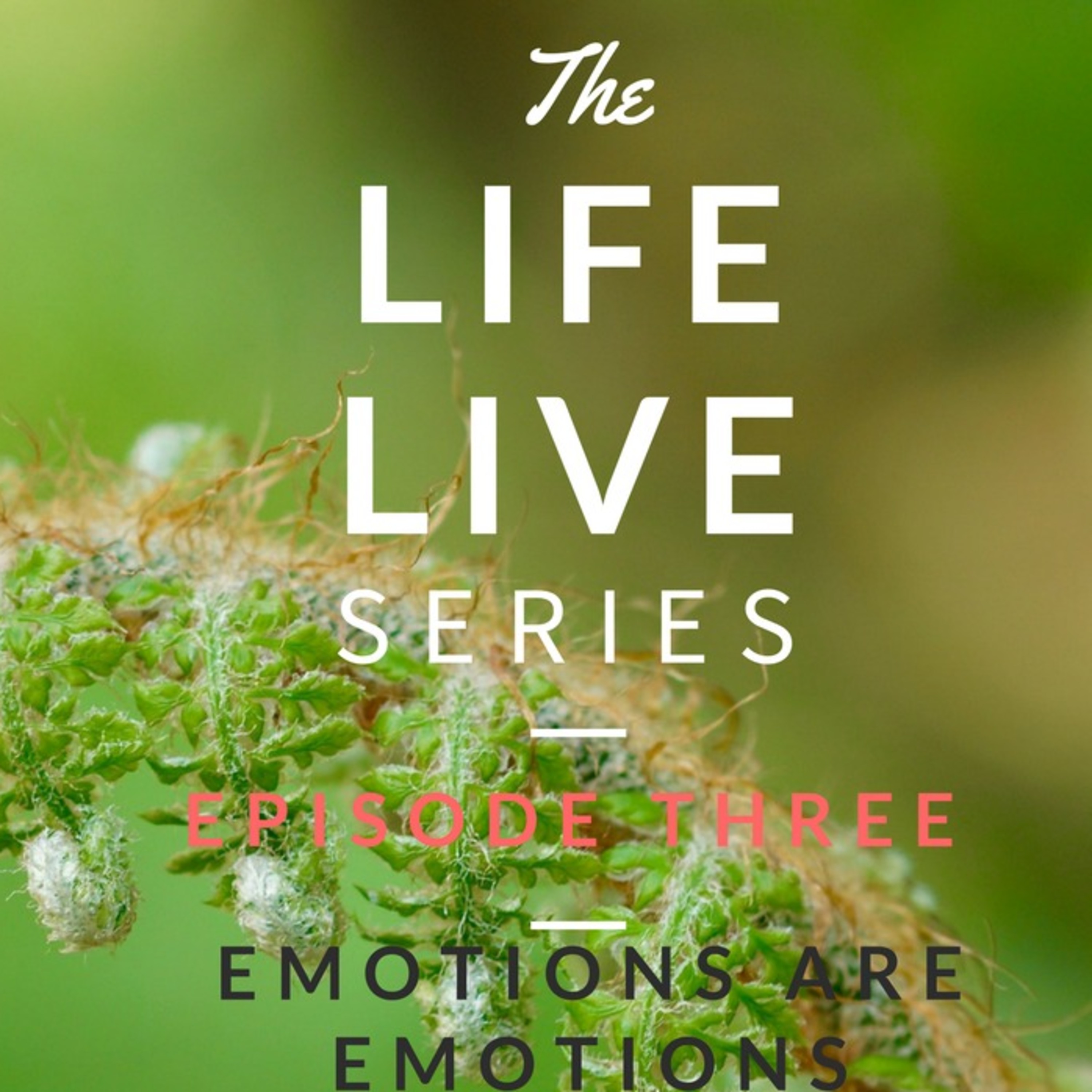 Life Live Episode 3 - Emotions are Emotions | Suicide, Depression and Life Help episode artwork