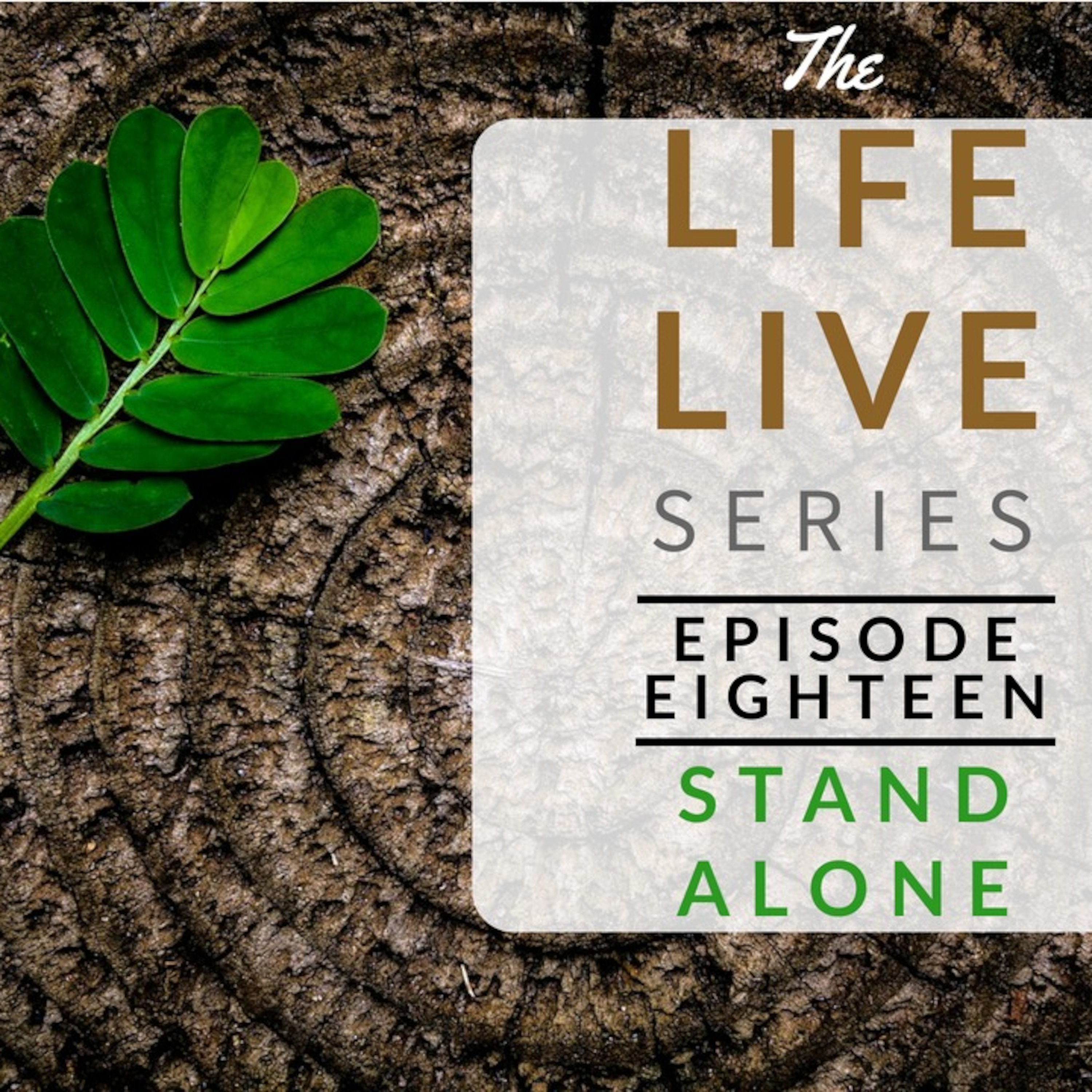 Life Live Episode 18 - Stand Alone | Suicide, Dreprssion and Life Lessons