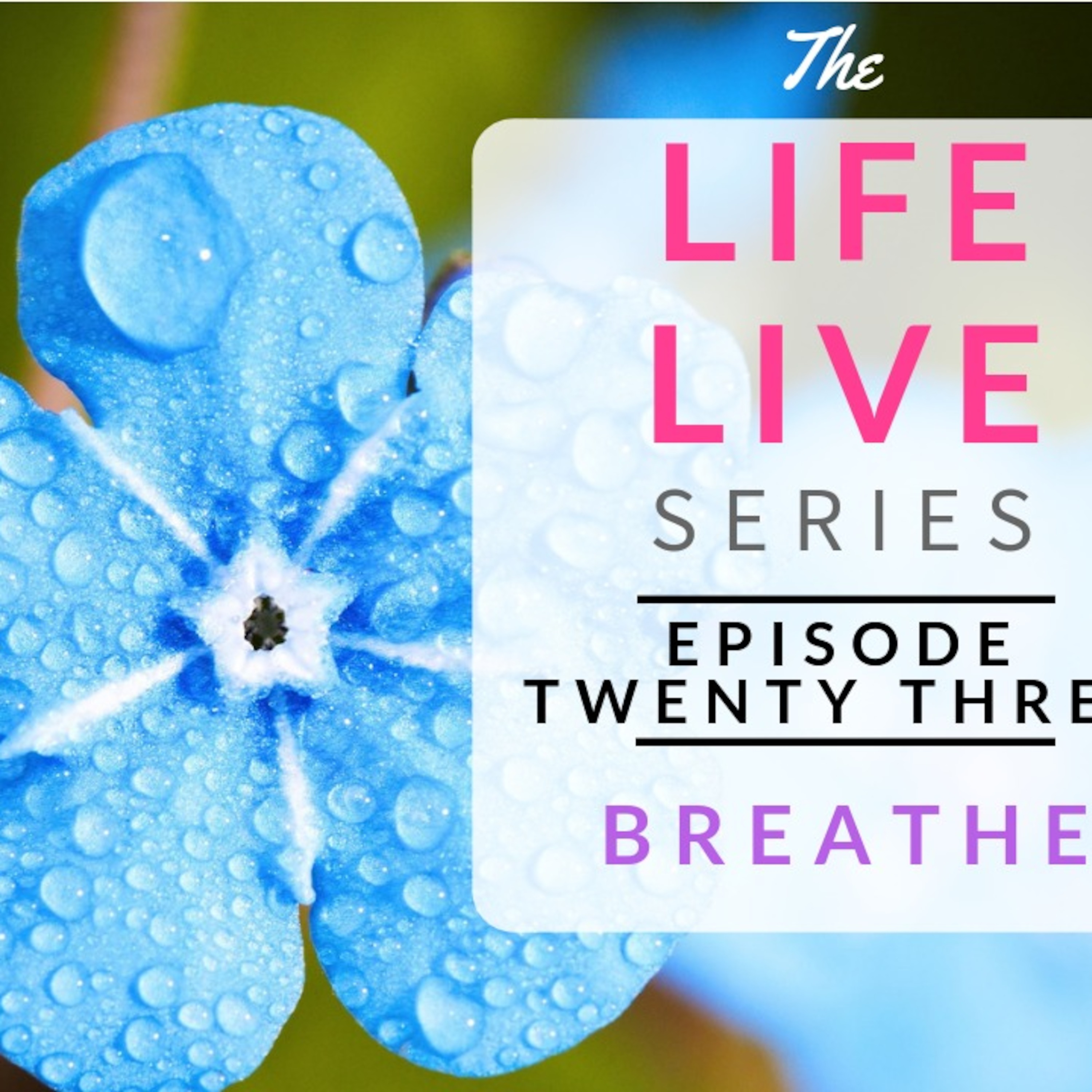 Life Live Episode 23 - Breath | Suicide, Depression and Life Lessons episode artwork