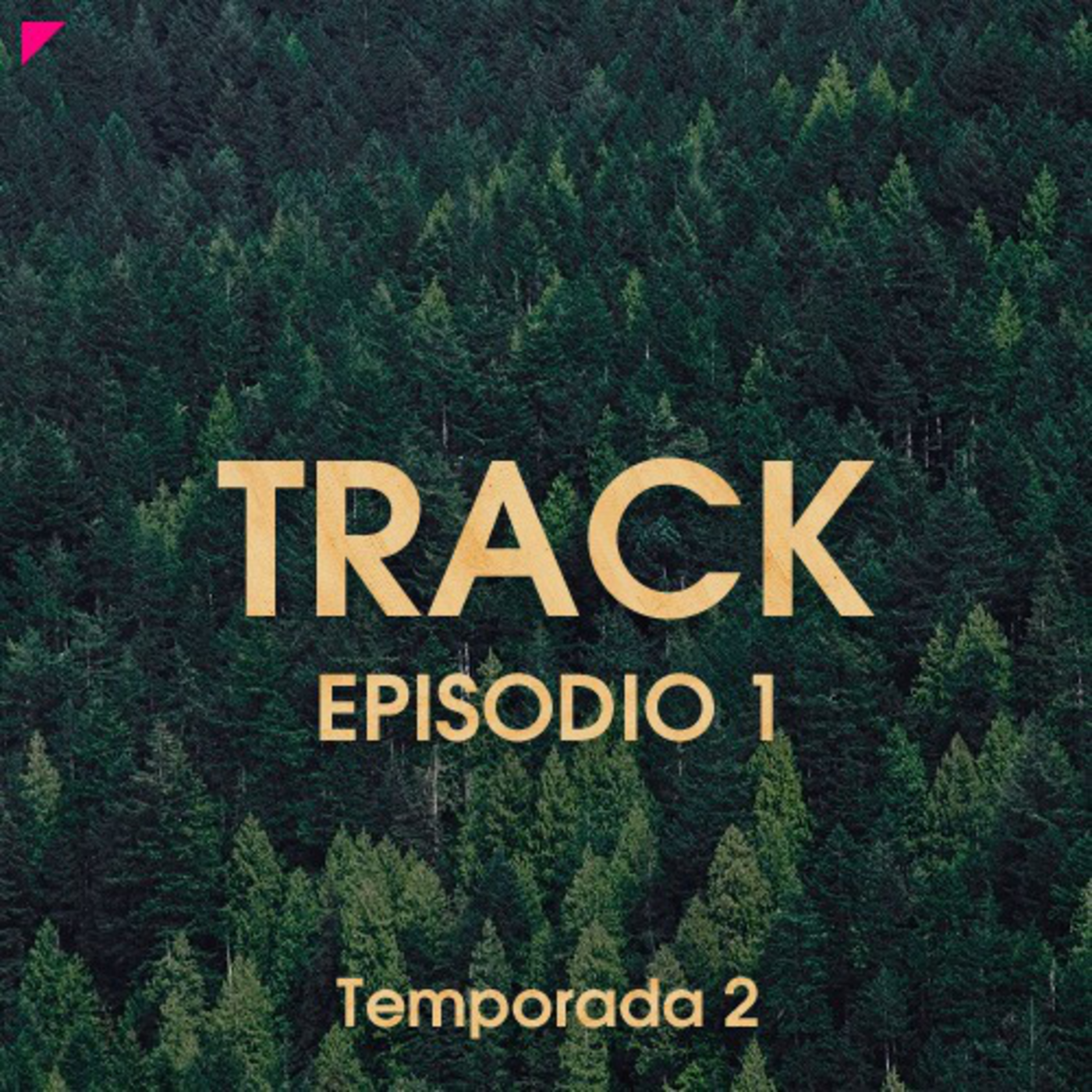 Track Podcast's Podcast