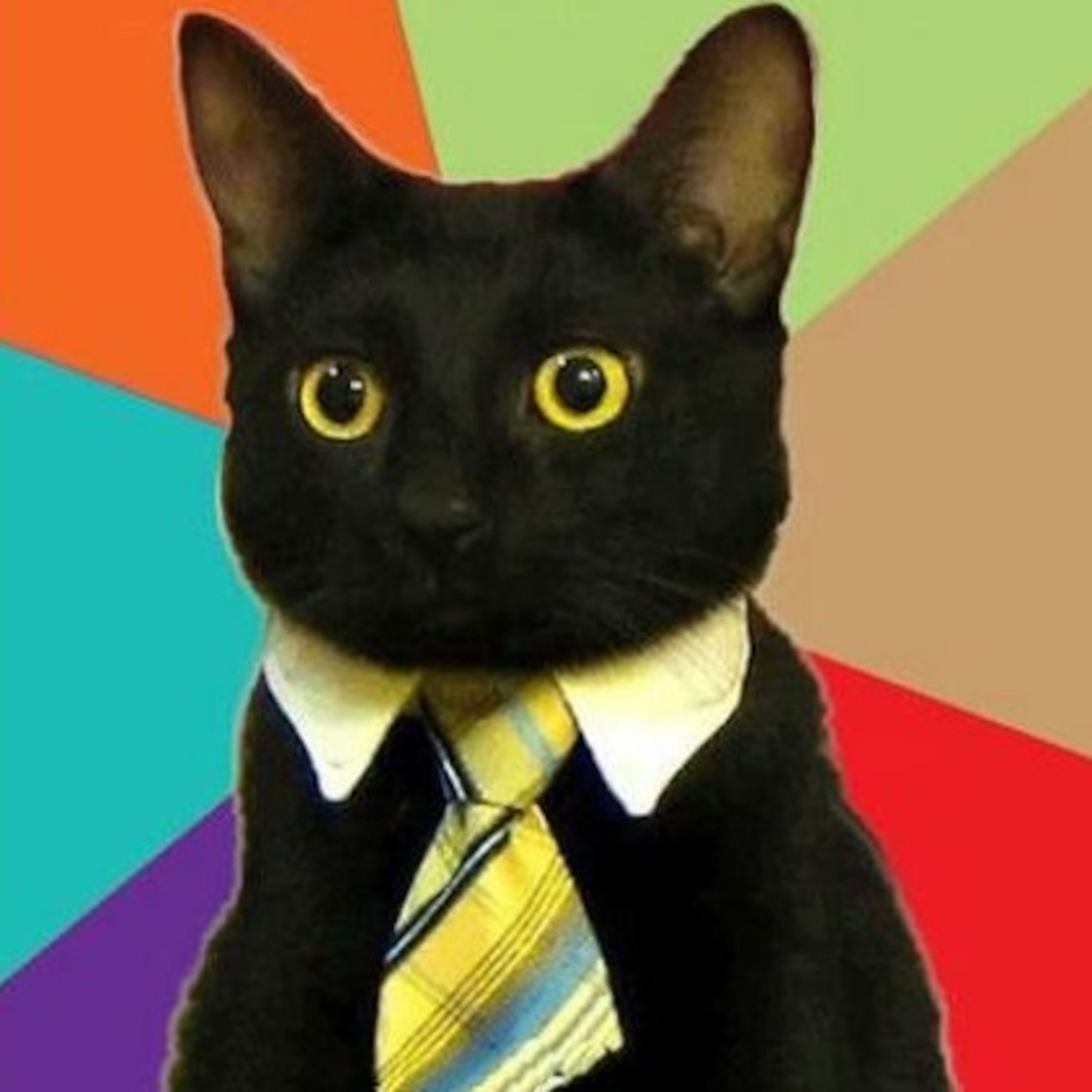 Especial musica (segunda temp)