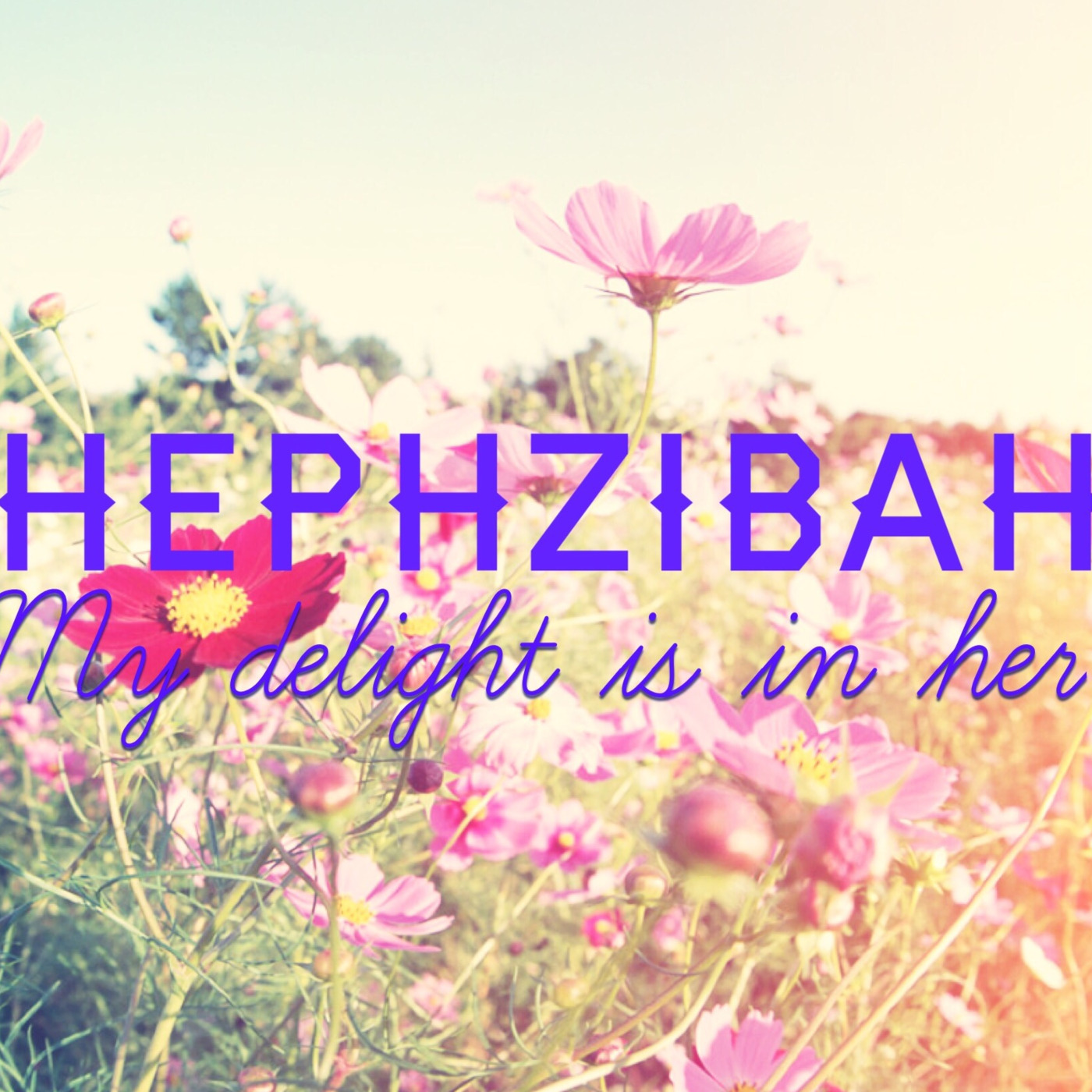 His Delight Is In You episode artwork