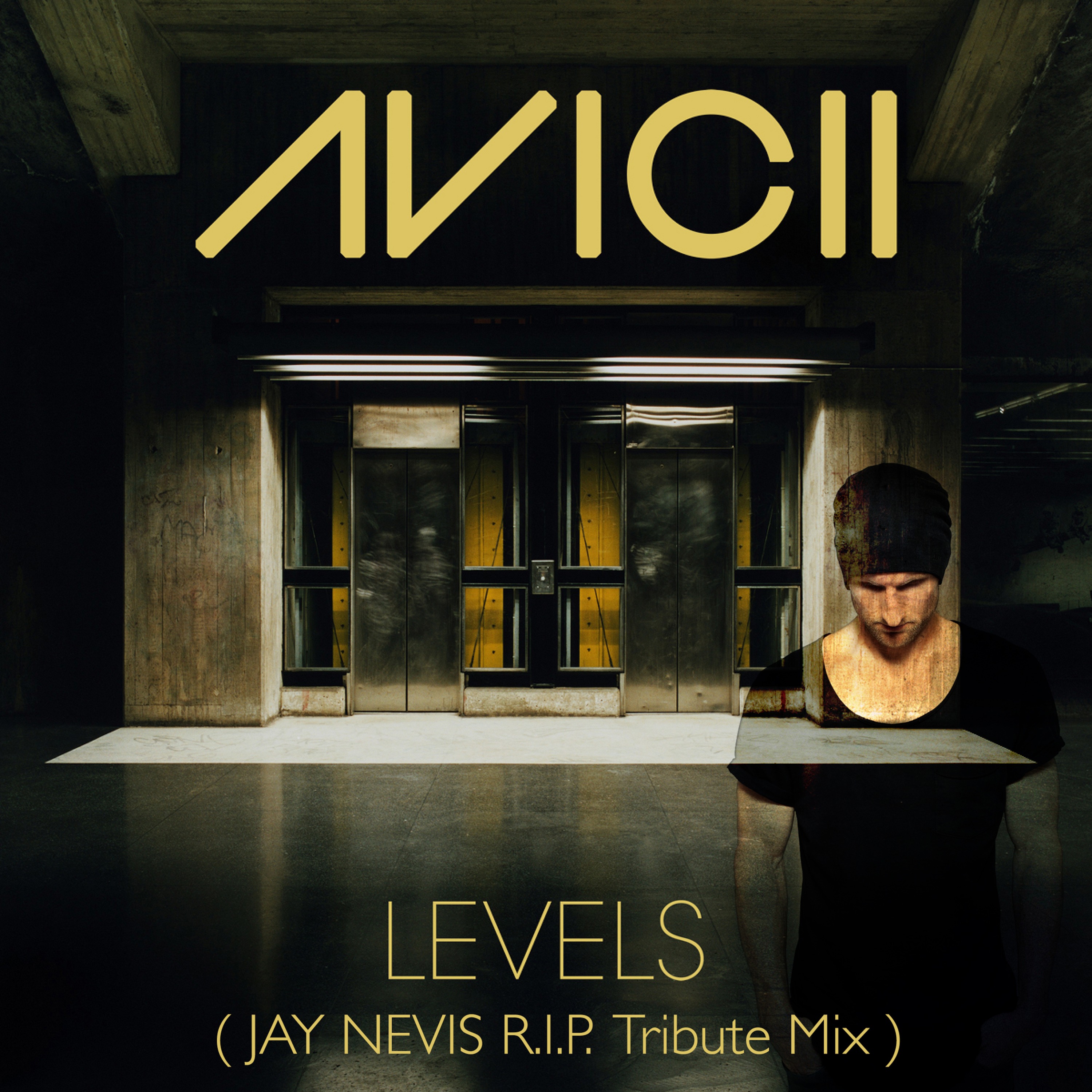 Levels авичи. Avicii Levels. Avicii Levels обложка. Levels Radio Edit Avicii.