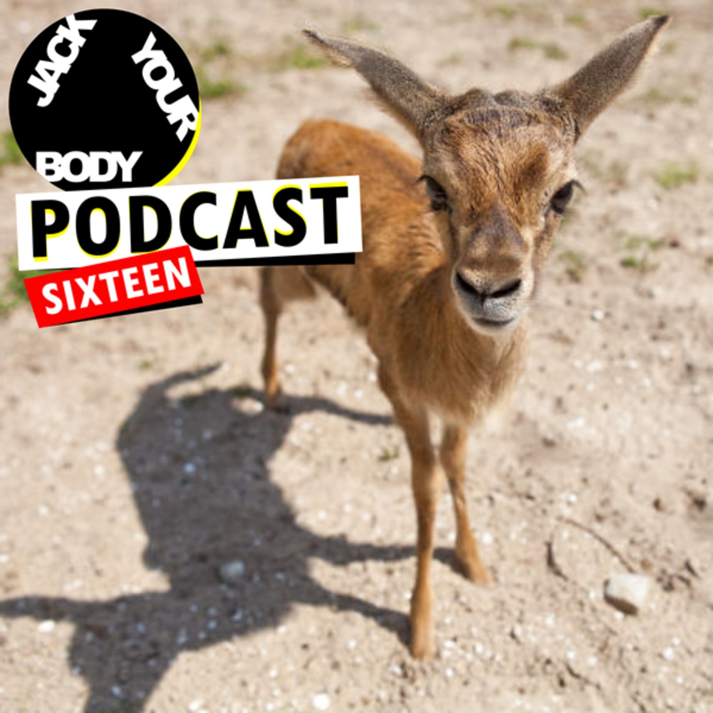 JackYourBody Podcast Sixteen