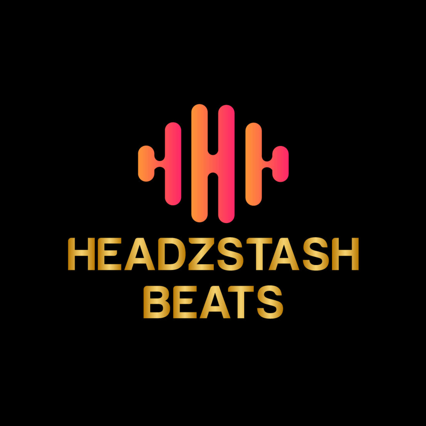 HEADZSTASH BEATS - THE PLUG
