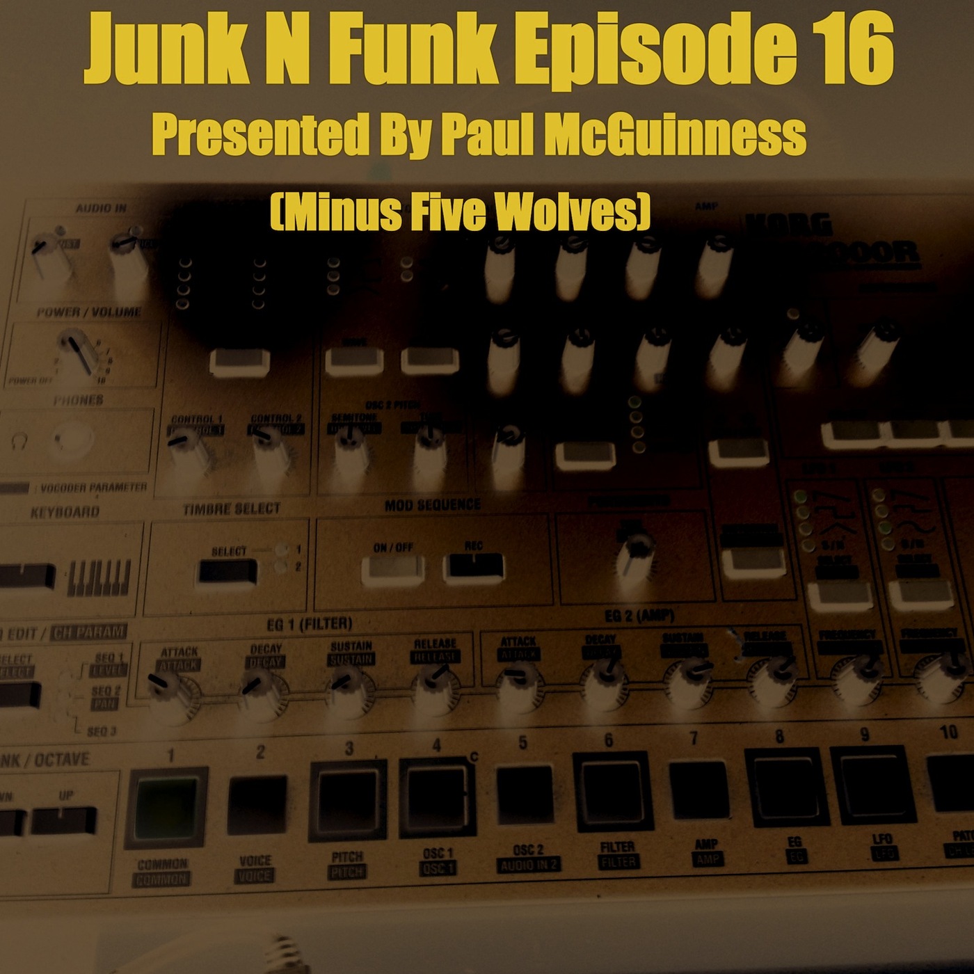 The Junk n Funk Podcast Episode 16