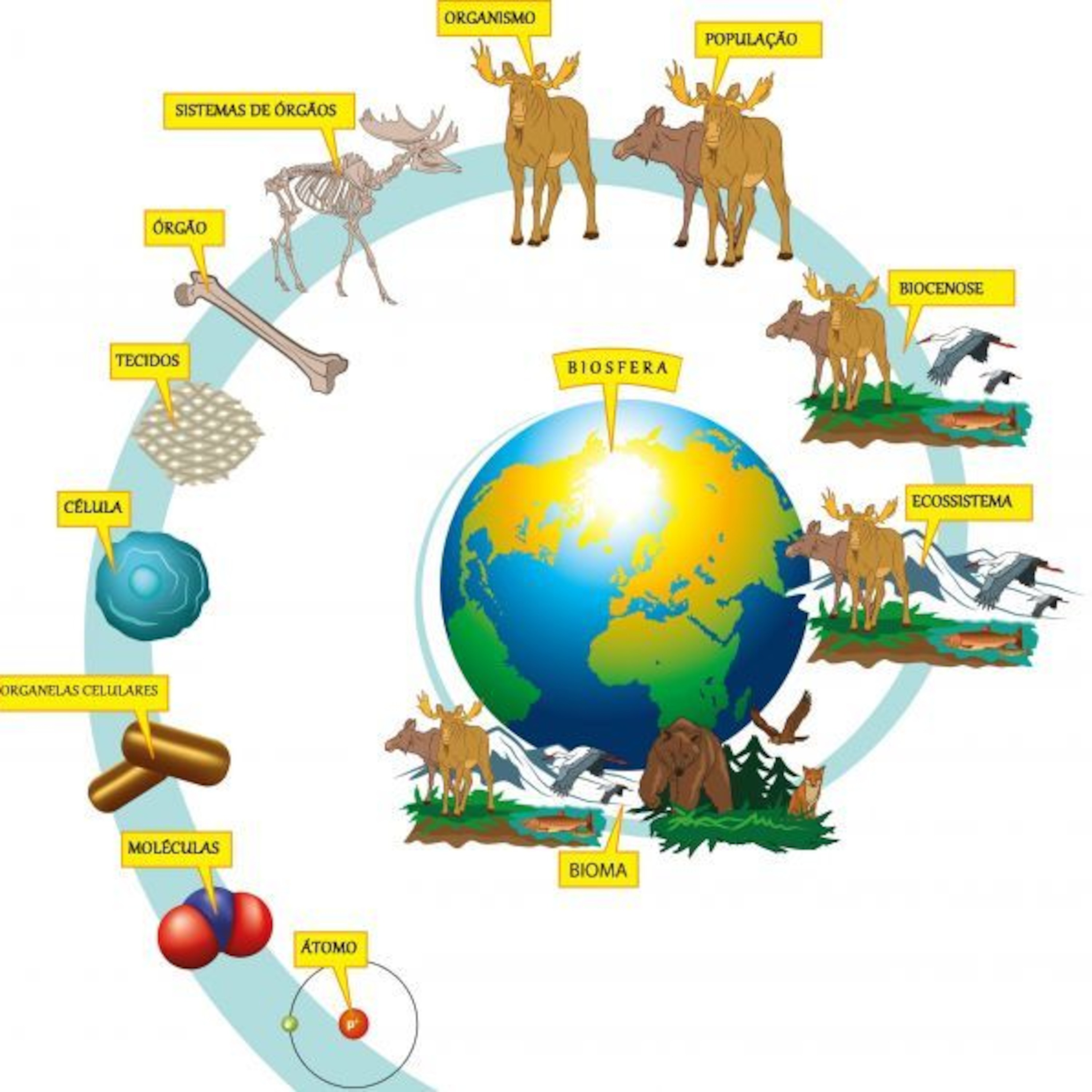 Geografia para Ouvir ) ) )