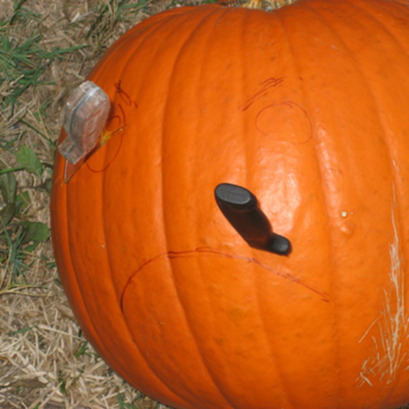 PUMPKINS episode artwork