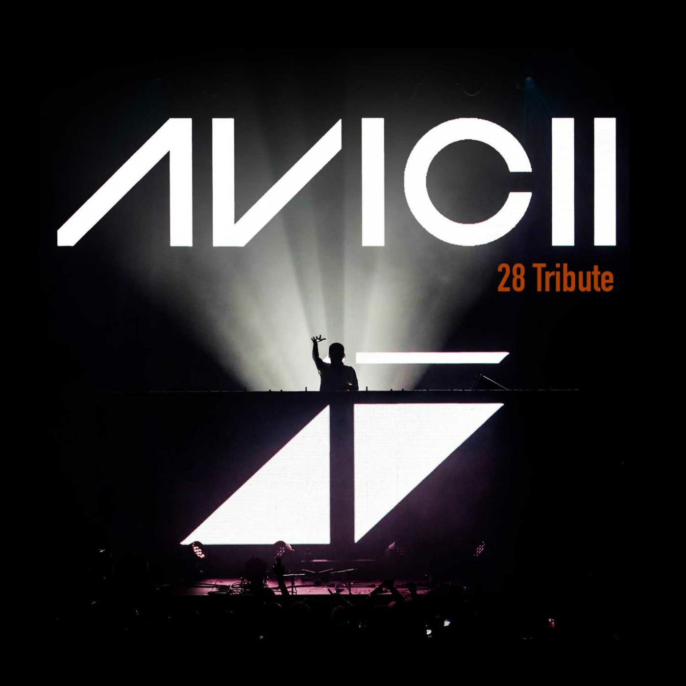 Avicii 28: Tribute Mix