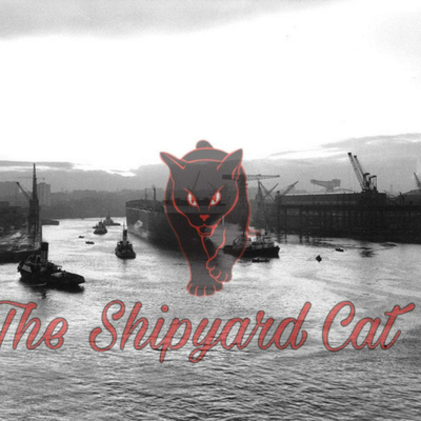 The Shipyard Cat Podcast